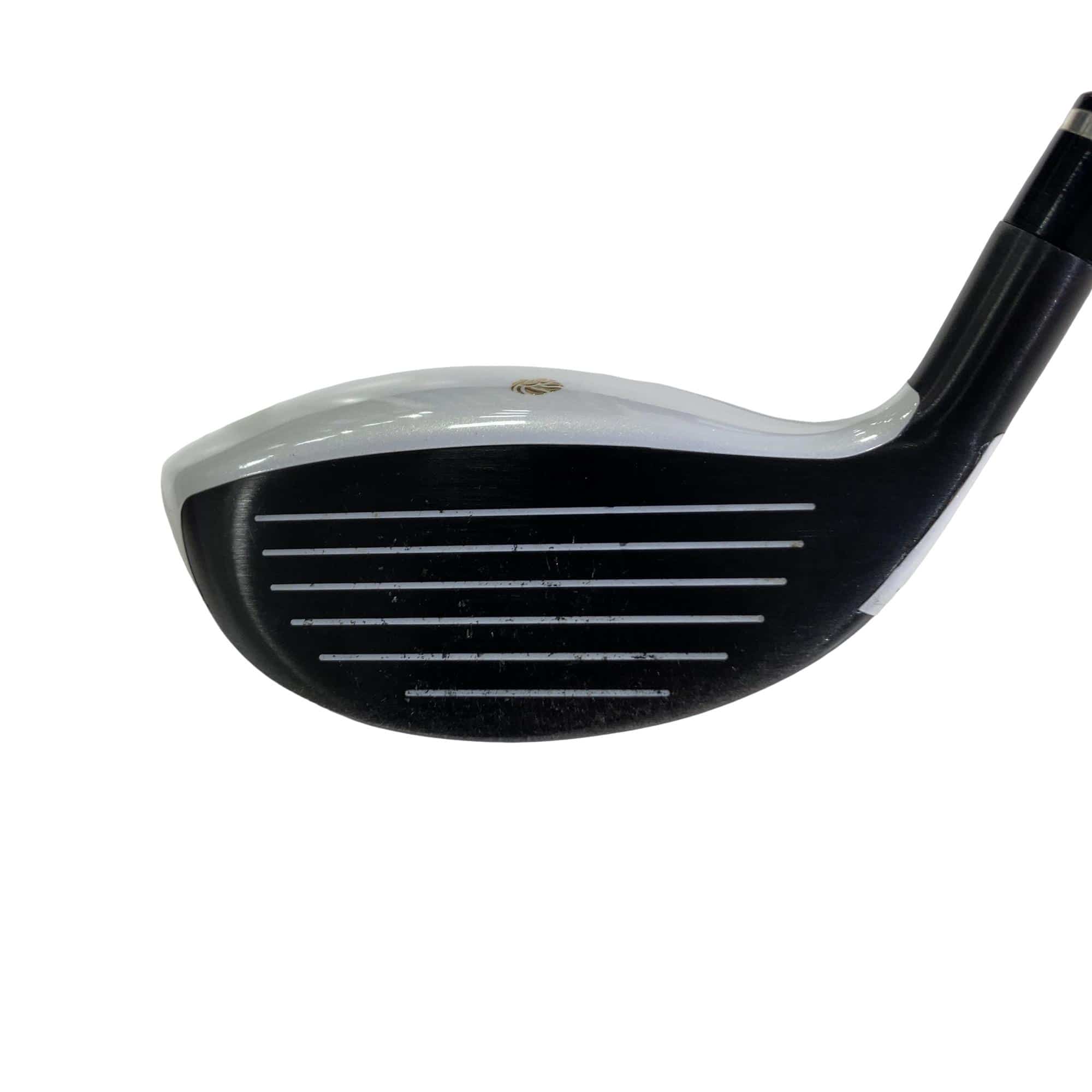 �f�k�n�h�q�d�@�e�i�Q�O�P�U�j�@�T�v