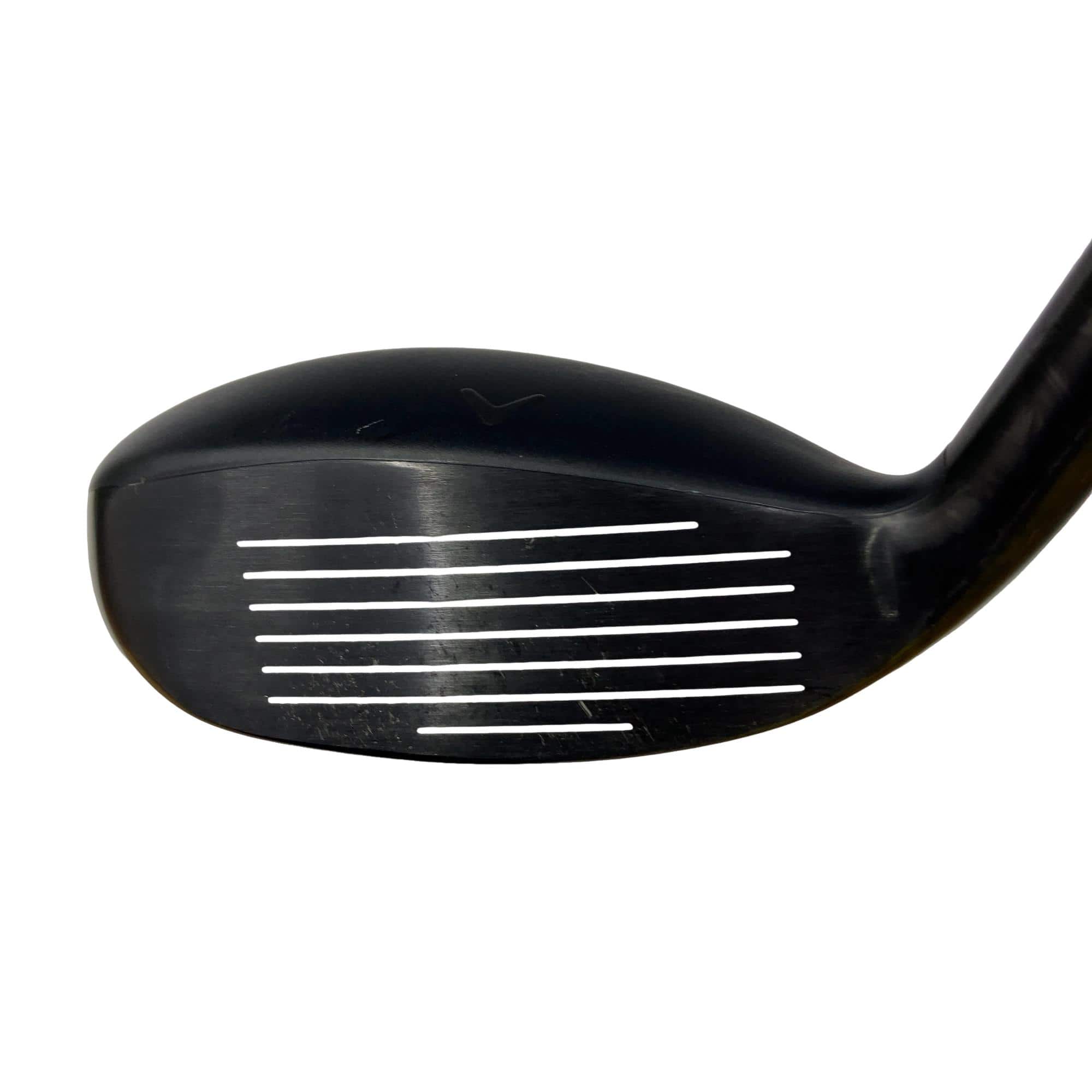 �w�q�@�P�U�@�n�r�@�t�T