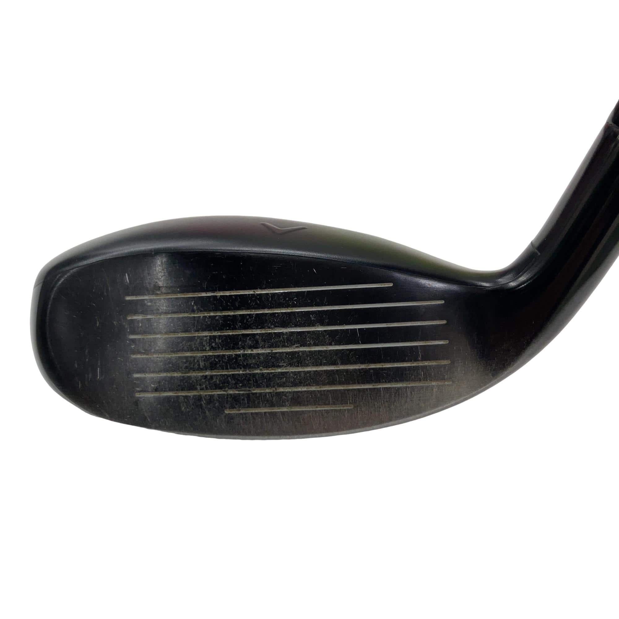 �w�q�@�P�U�@�n�r�@�t�T