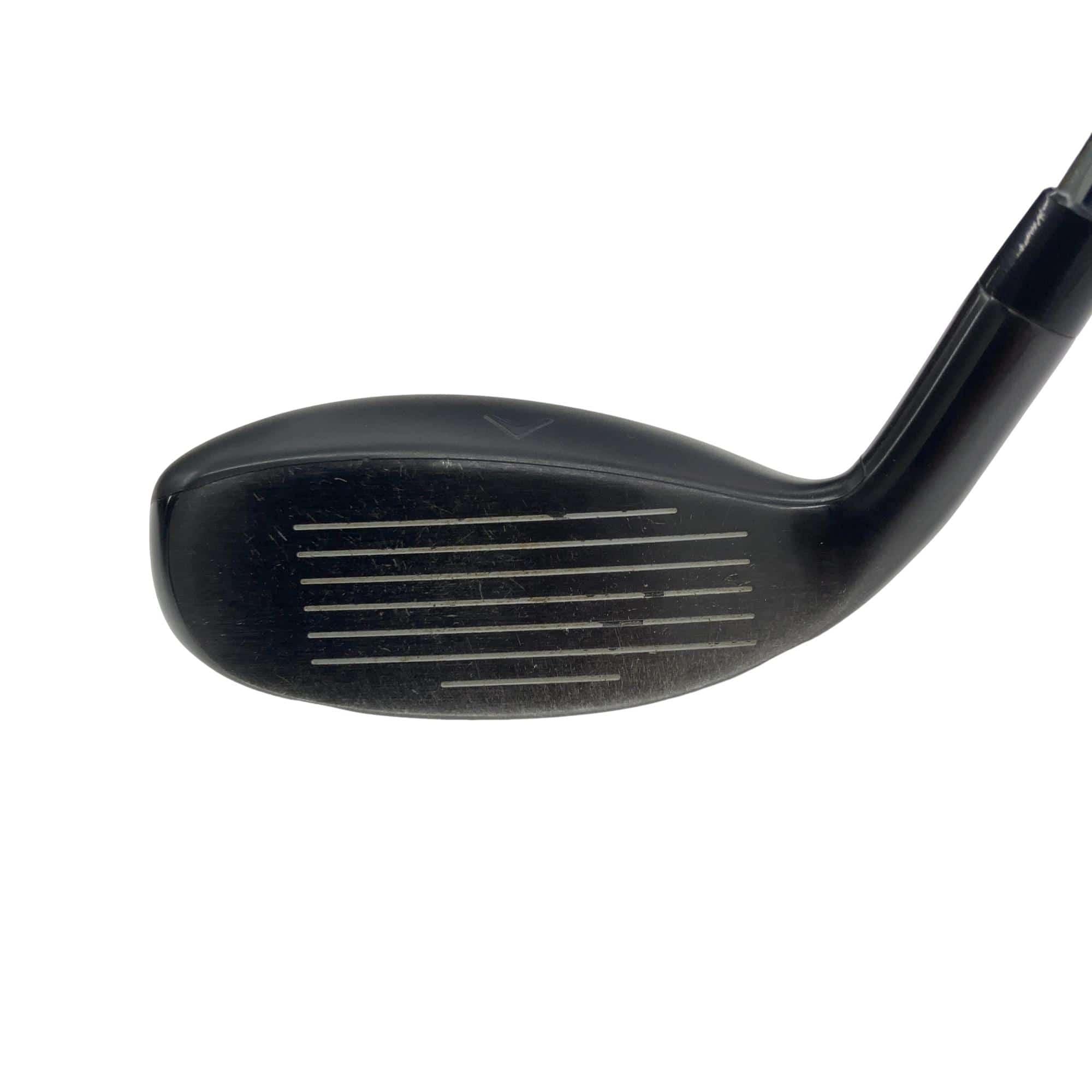 �w�q�@�P�U�@�n�r�@�t�S