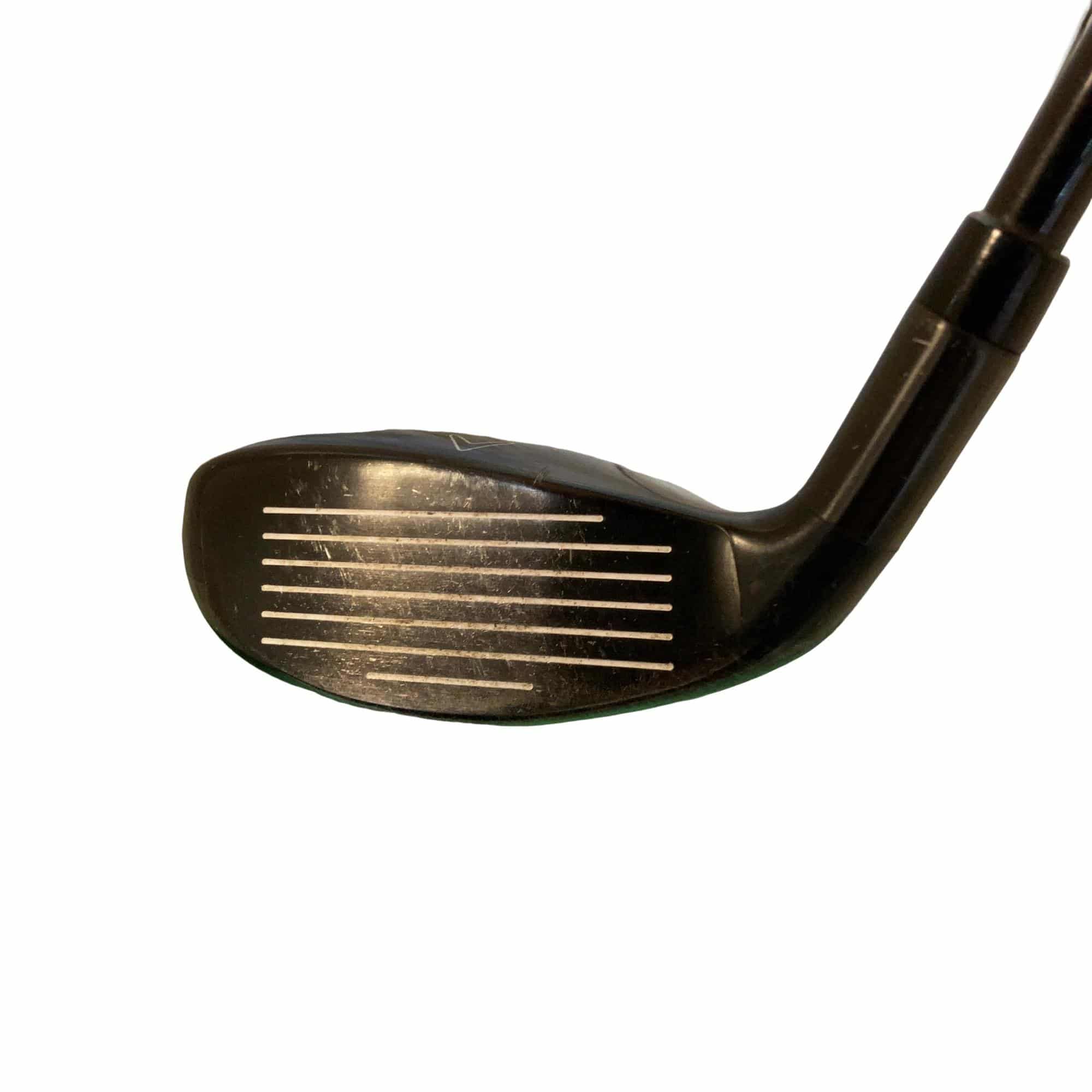 �w�Q�@�g�n�s�@�t�R