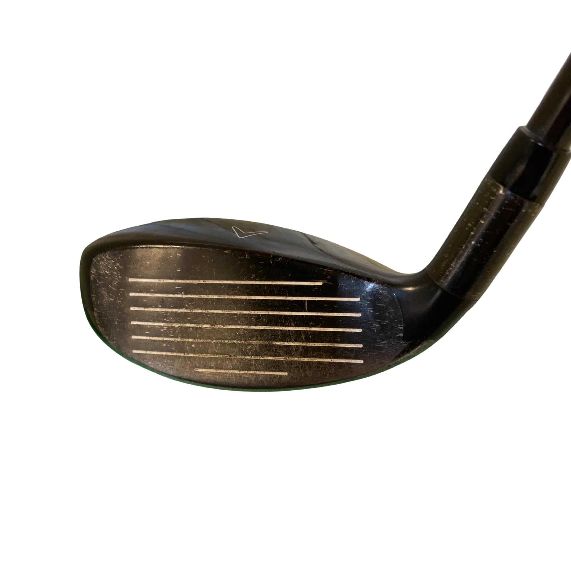 �w�Q�@�g�n�s�@�t�T