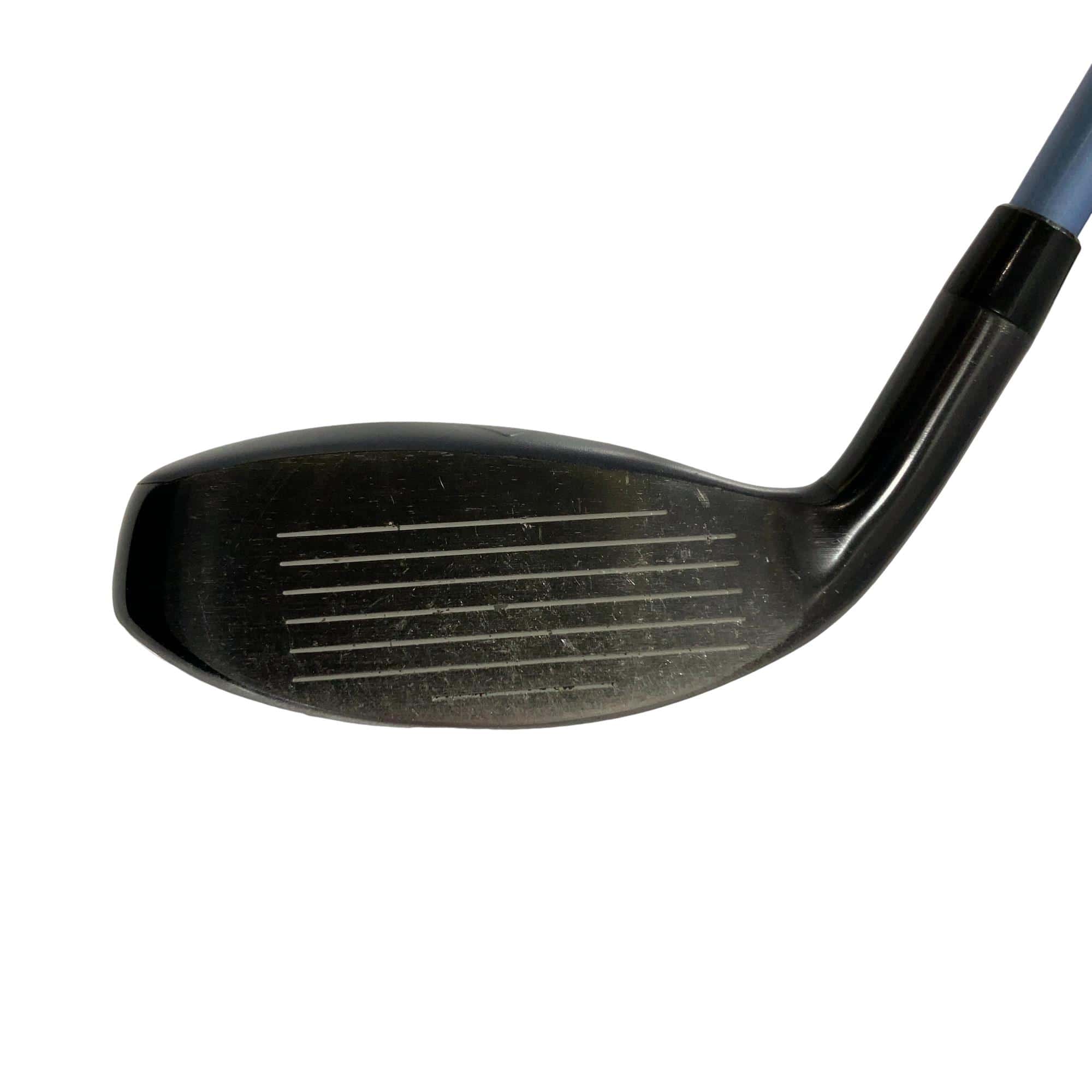 �w�q�@�t�S�@���f�B�[�X