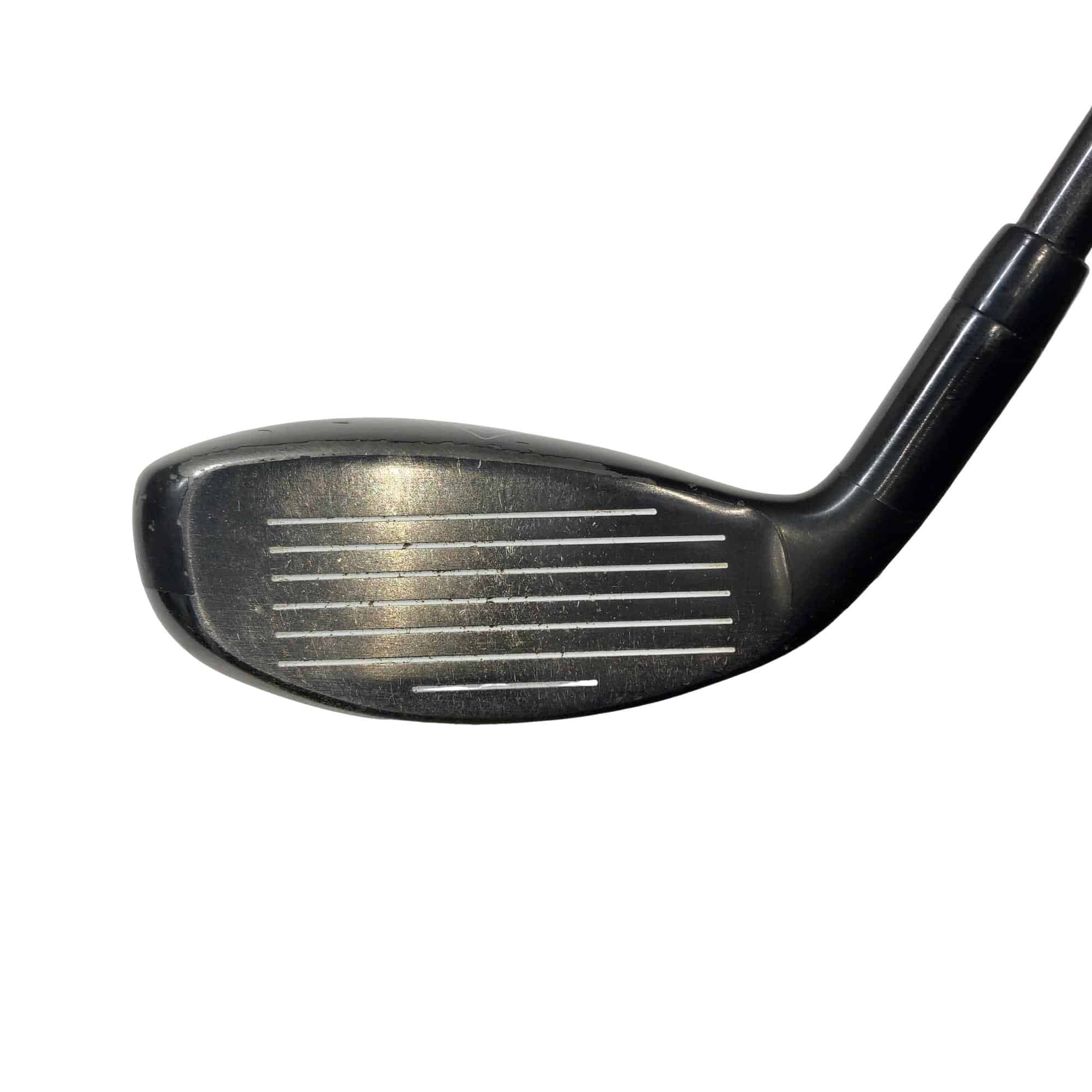 �w�Q�@�g�n�s�@�t�S