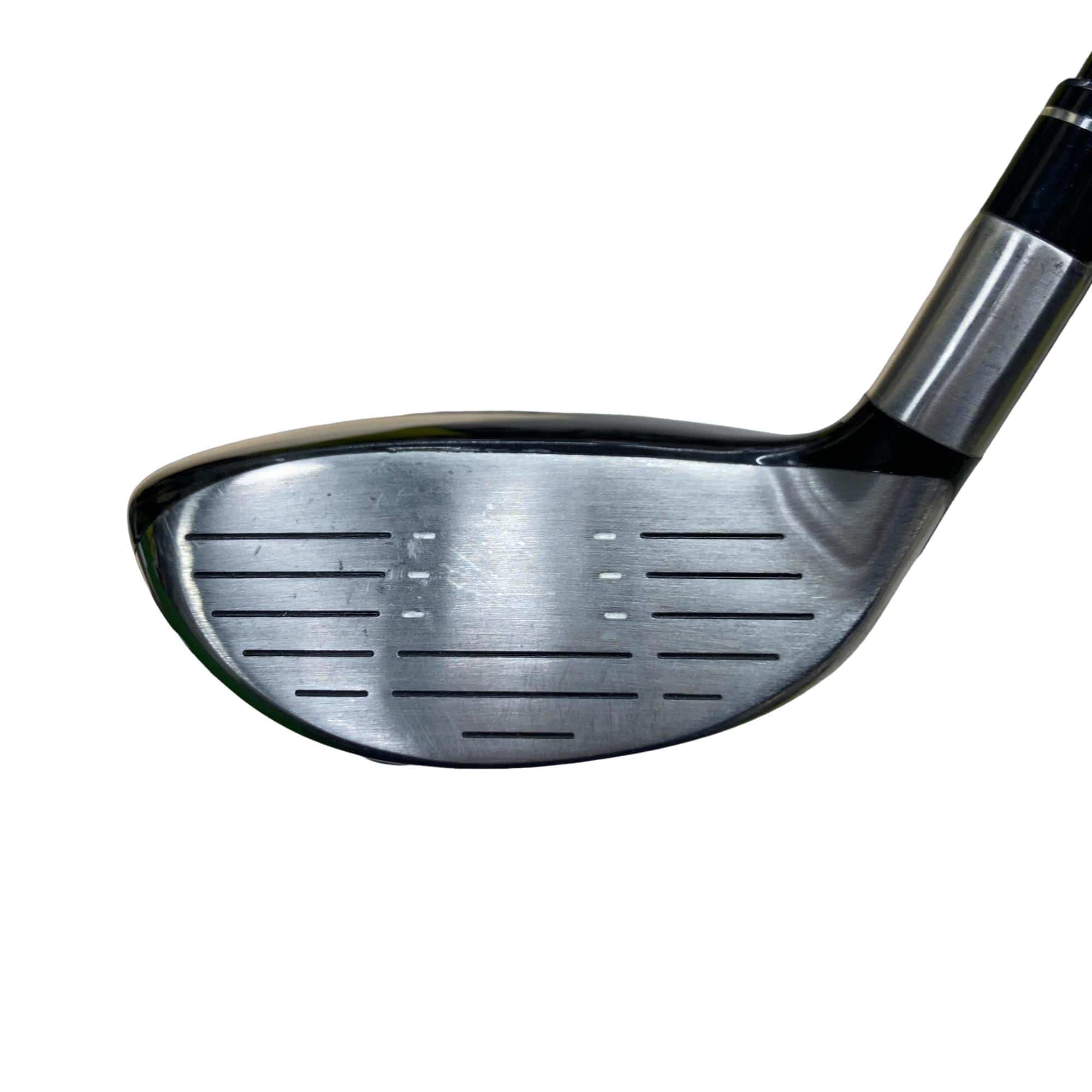 �e�s�@���[�e�B���e�B�@�m�d�t�s�q�`�k�@�S�g�@�t�r�`