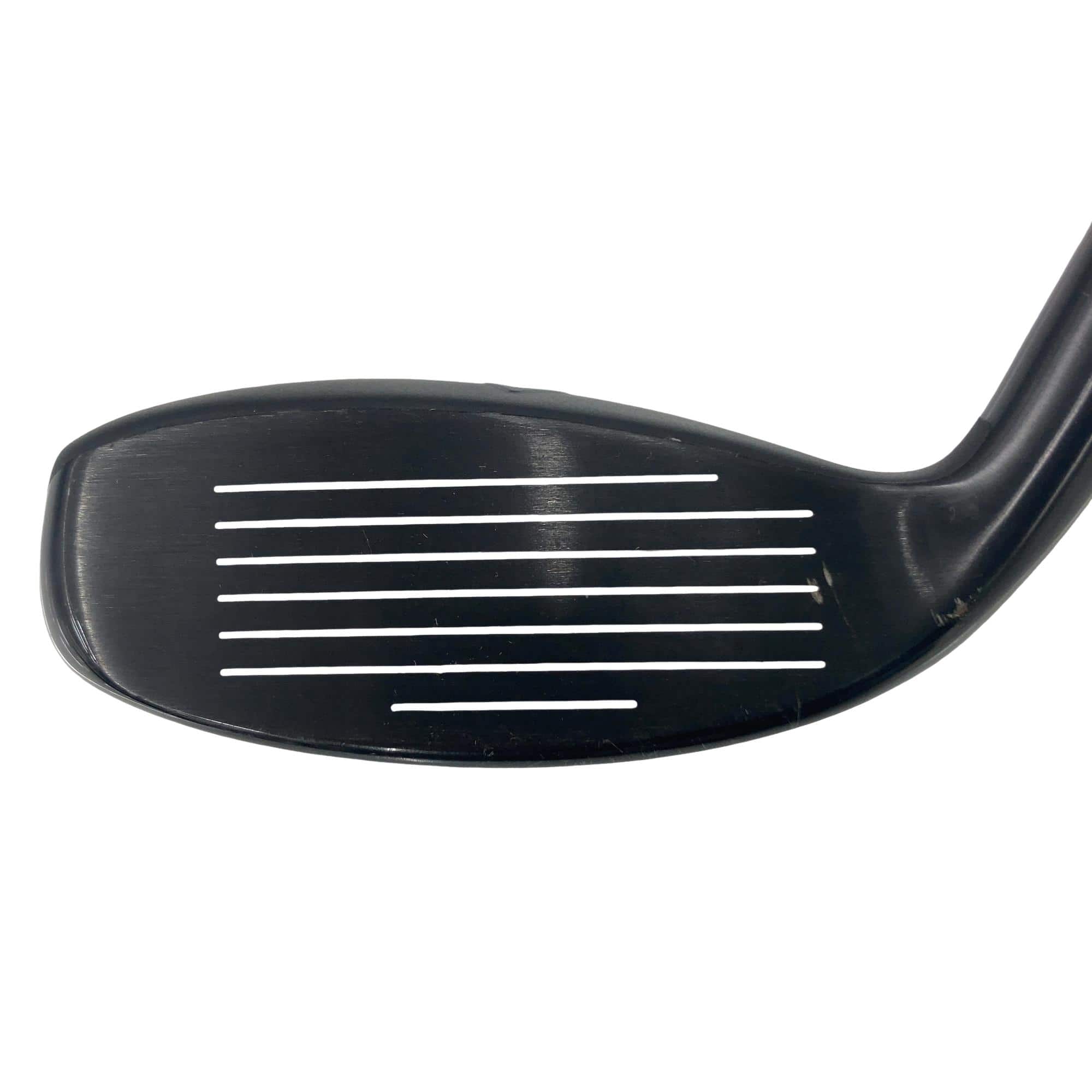 �w�q�@�P�U�@�n�r�@�t�R