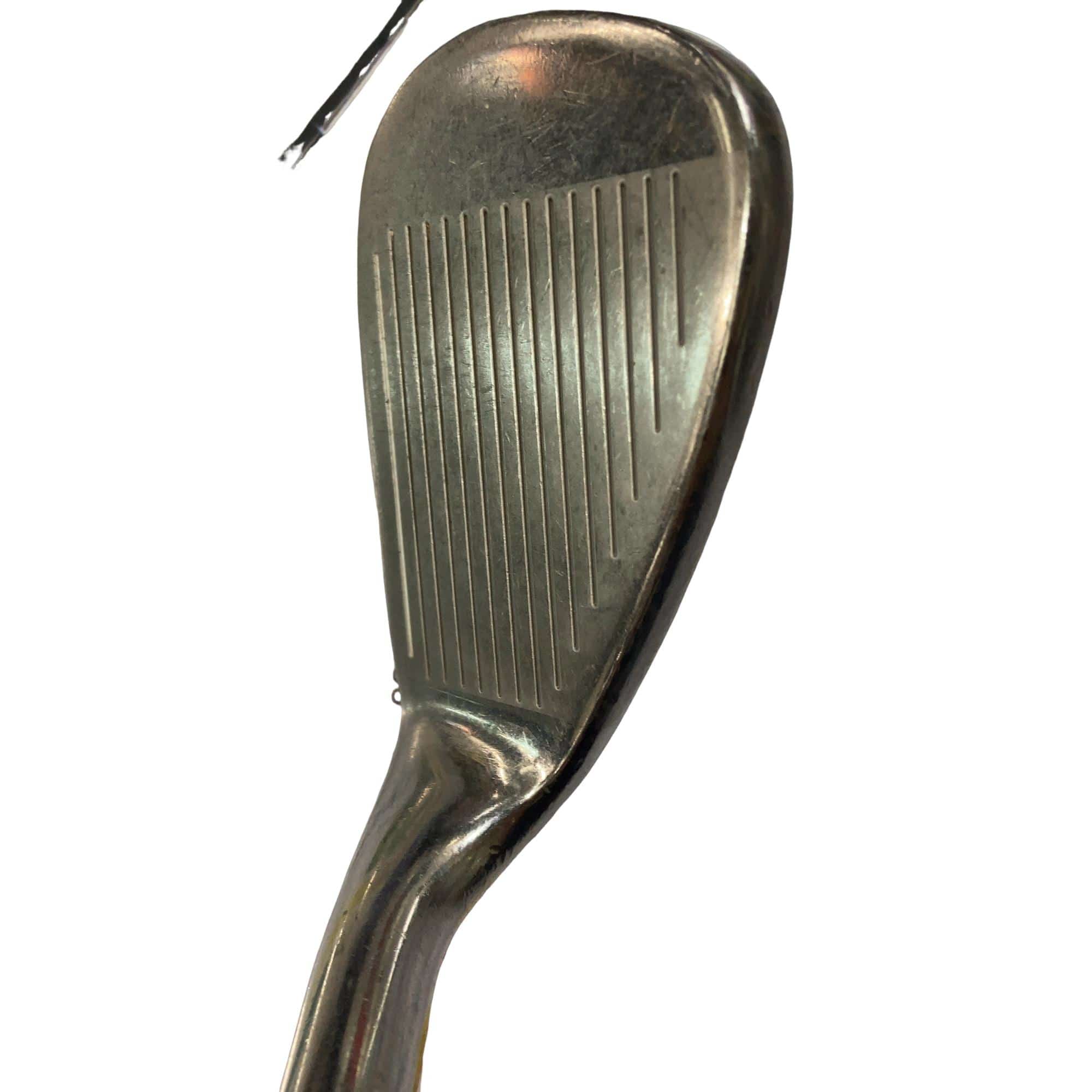 �l�S�@�`�v�@���f�B�[�X