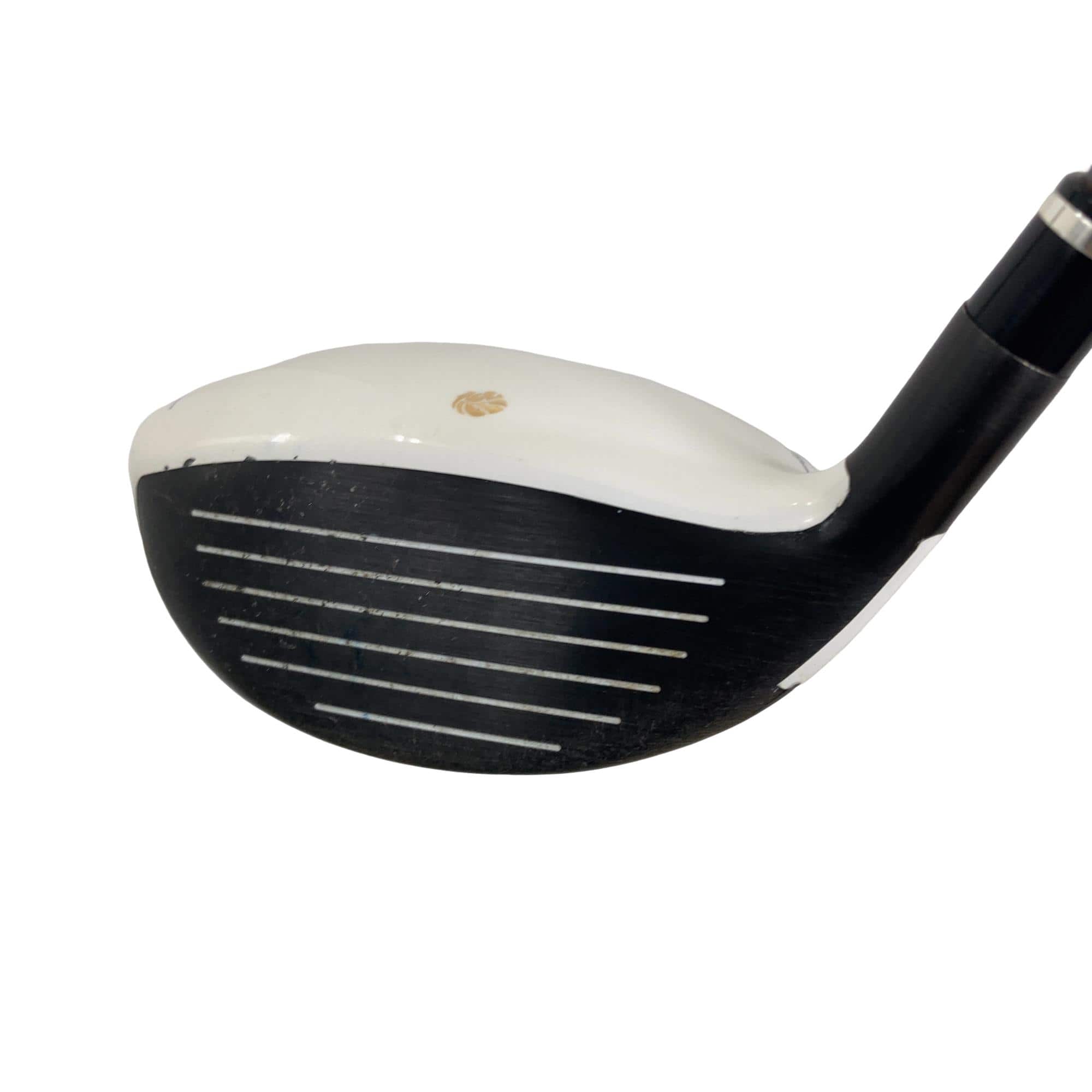 �f�k�n�h�q�d�@�e�i�Q�O�P�U�j�@�T�v