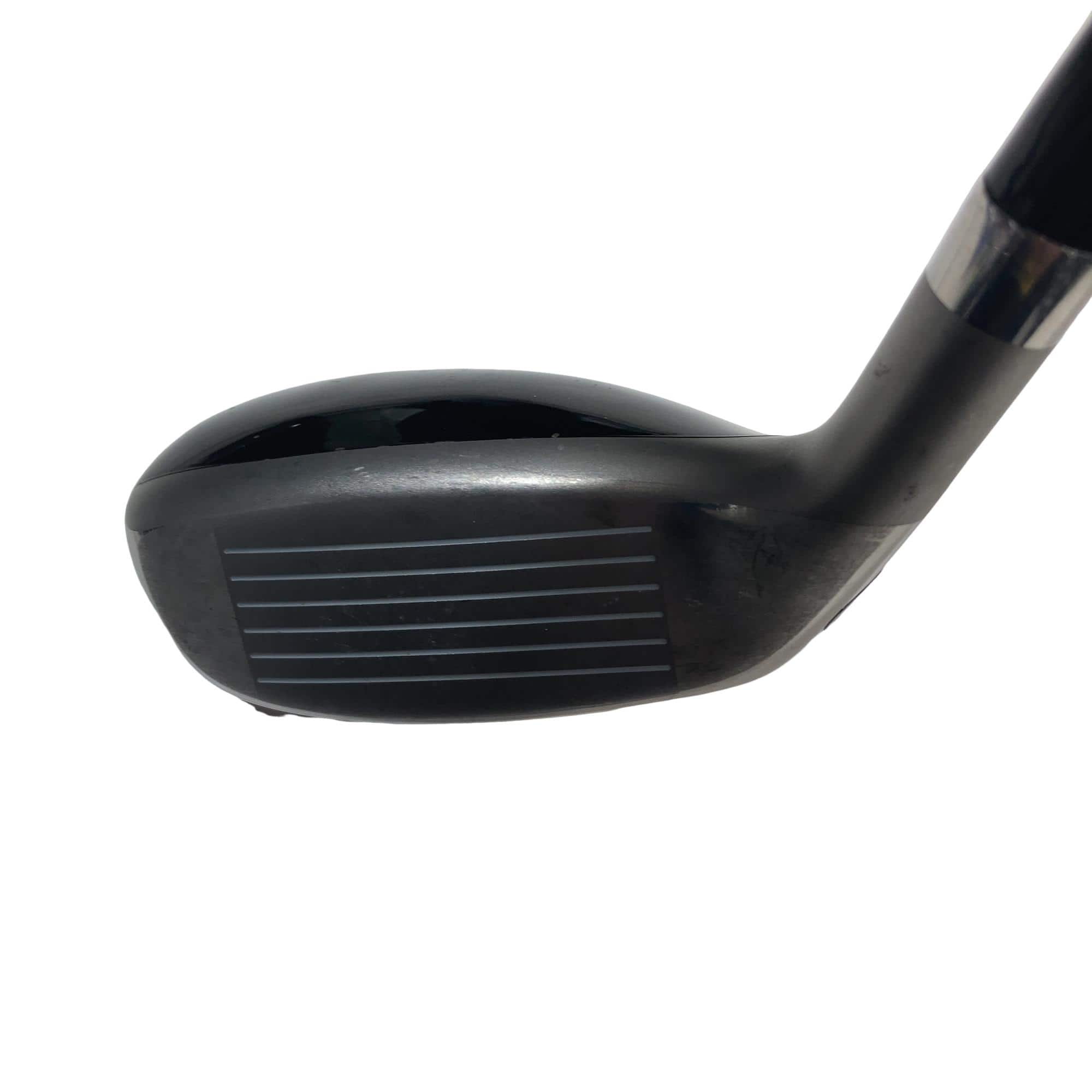 �u�q�@�o�q�n�@���[�e�B���e�B�@�t�R�@�t�r�`