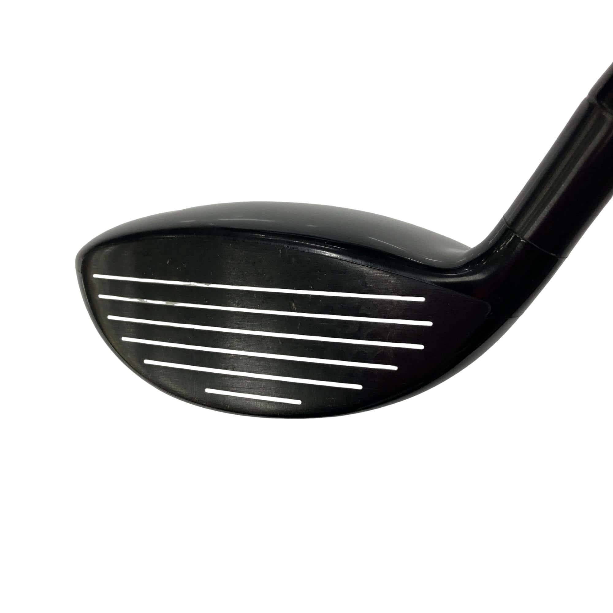 �w�Q�@�g�n�s�@�o�q�n�@�P�T°