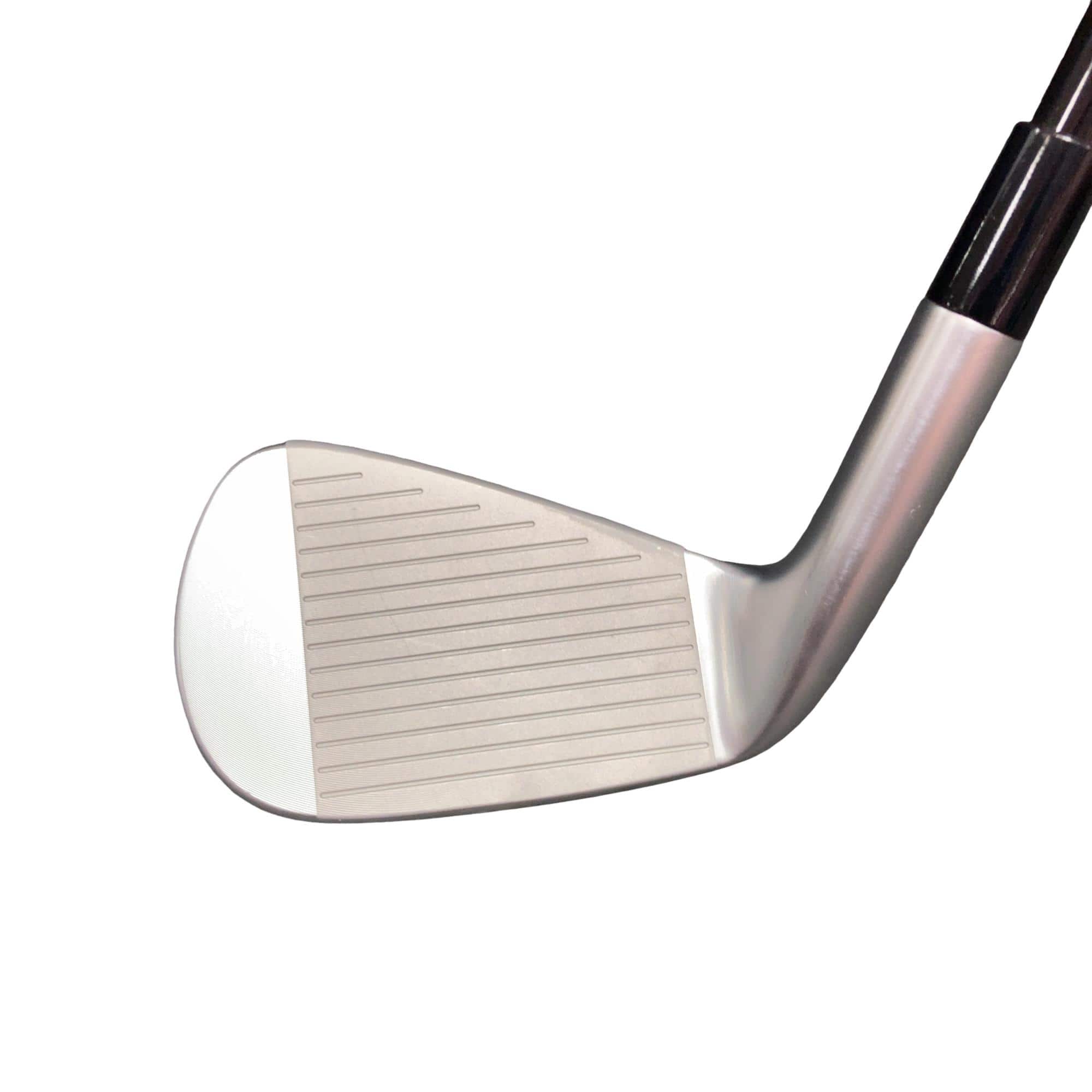 �s�����������@�l�������@�o�E�V�l�b�i�Q�O�Q�R�j�@�U�r�i���{���F�U�{�Z�b�g�j