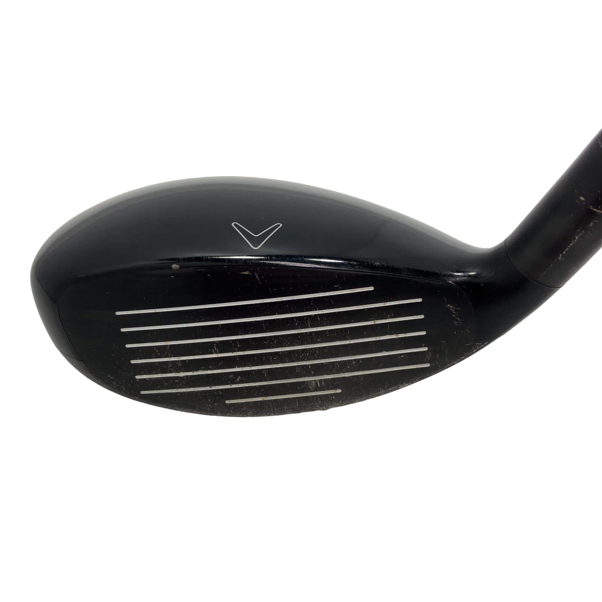 �w�Q�@�g�n�s�@�t�S