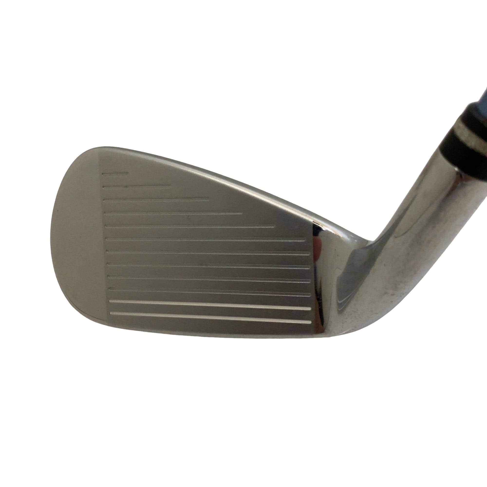 �������������@�t�c�{�Q�@�T�r�@���f�B�[�X�i���{���F�T�{�Z�b�g�j