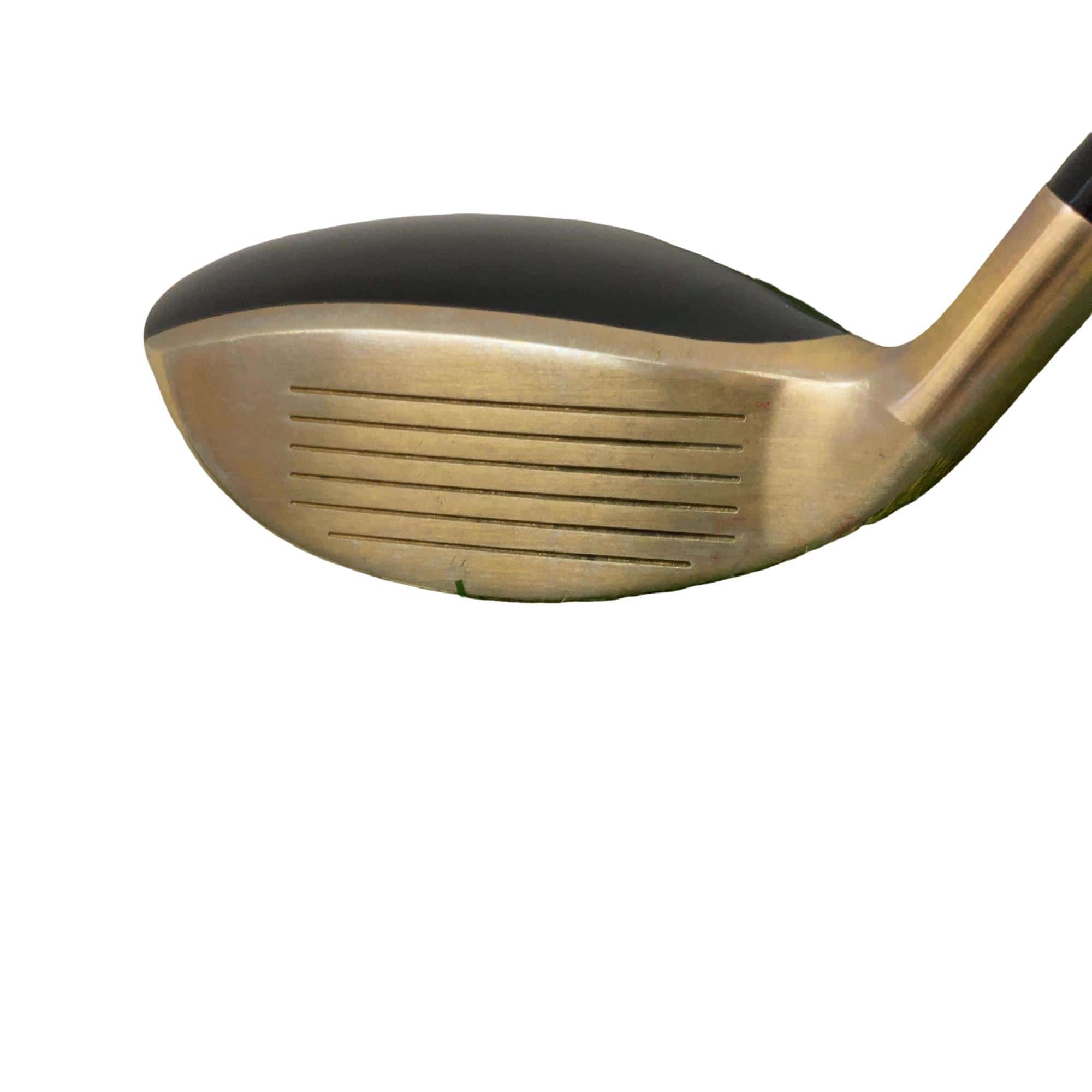 �u�n�k�s���n�@�h�u�@�f�i�S�[���h�j�@�R�v