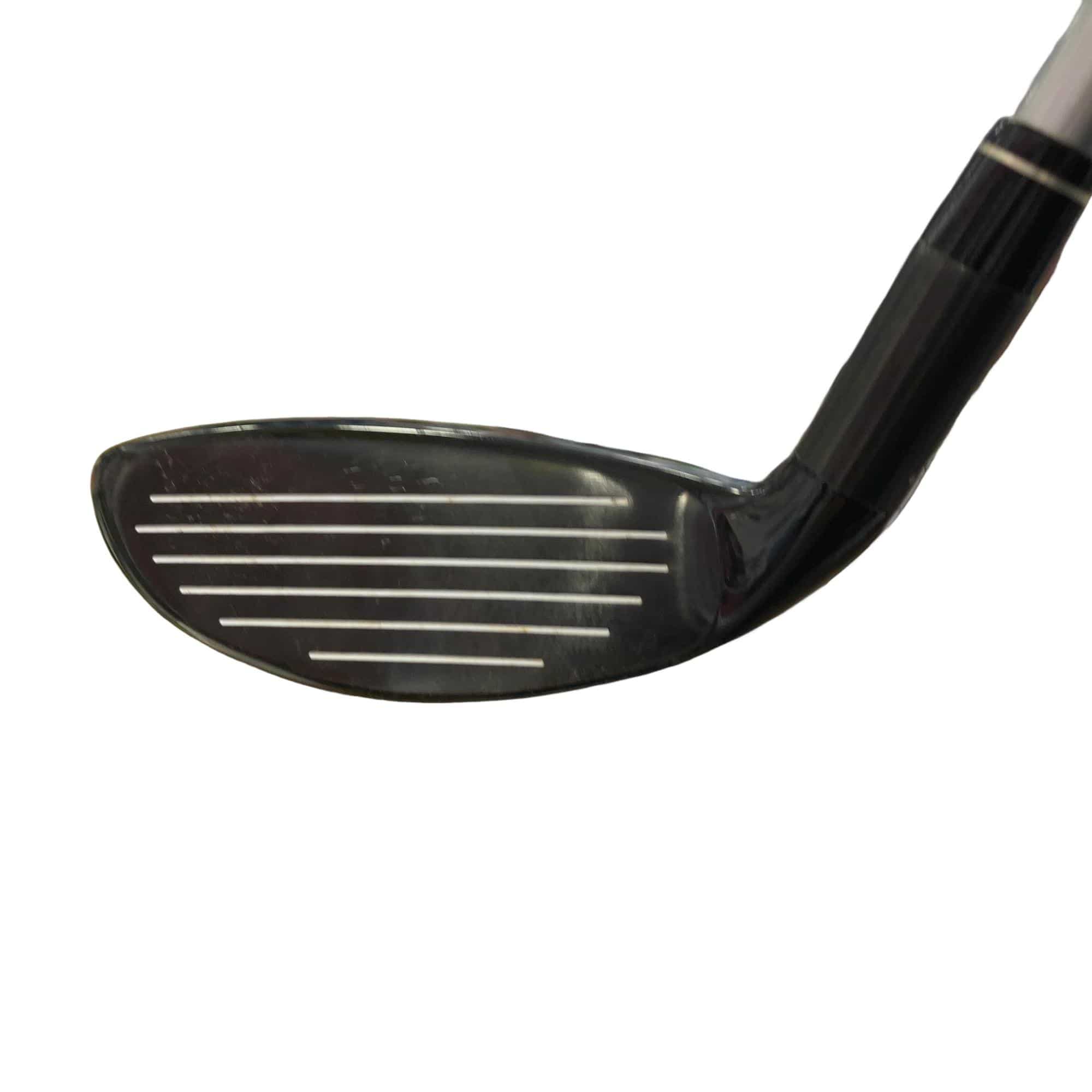 �w�@�g�n�s�@�t�T