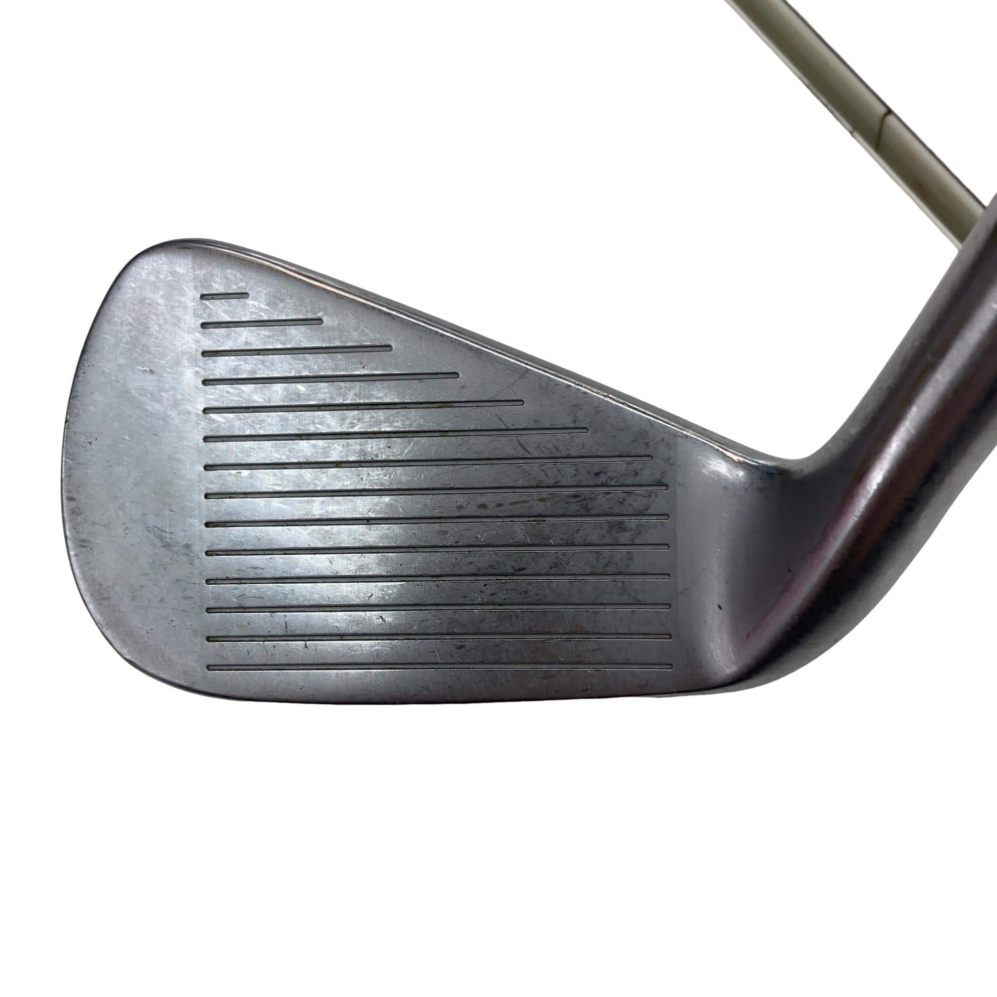 �s�����������@�l�������@�o�E�V�X�O�i�Q�O�Q�P�j�@�U�r�i���{���F�U�{�Z�b�g�j