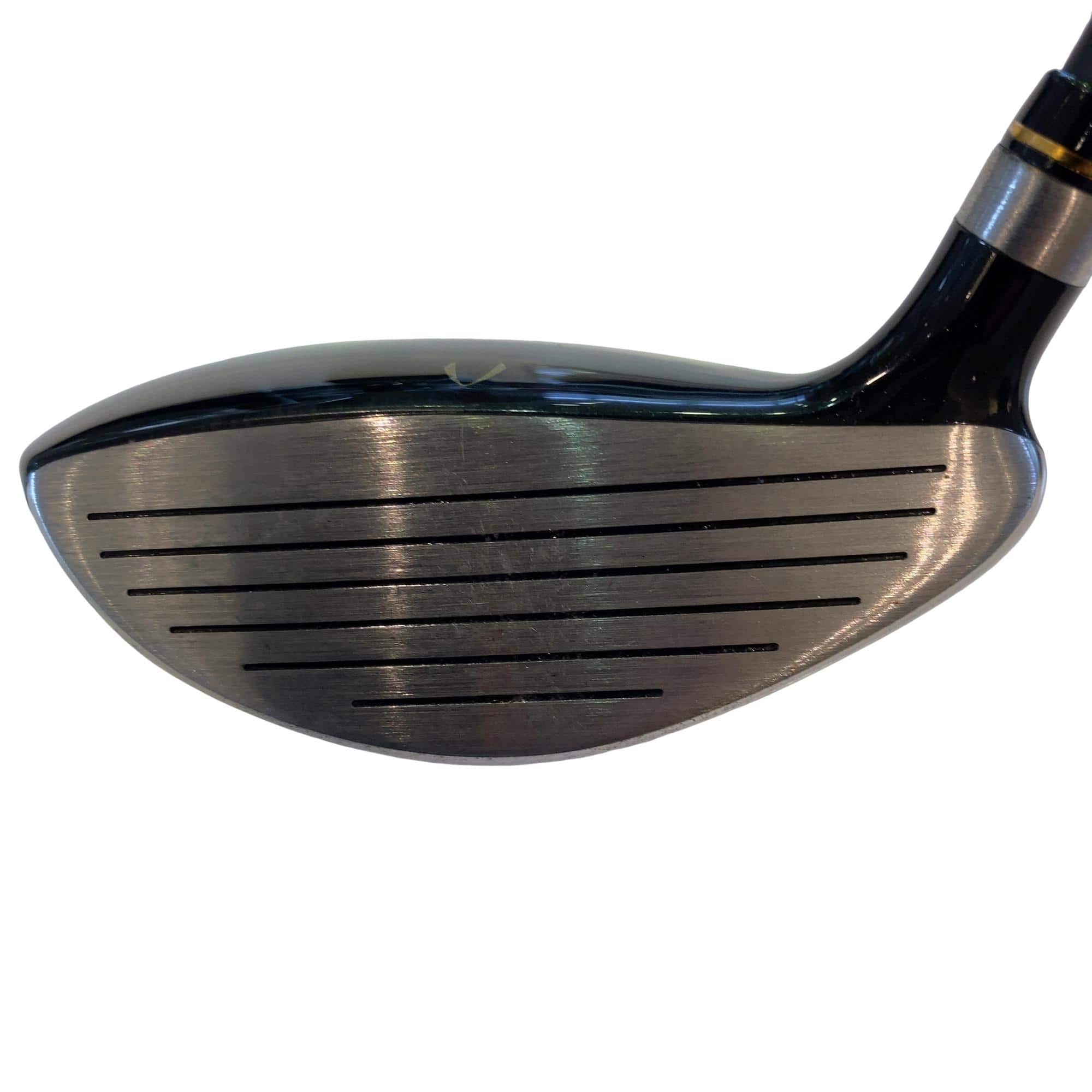 �j�Q�j�@���������O�X���[�e�B���e�B�@�t�T