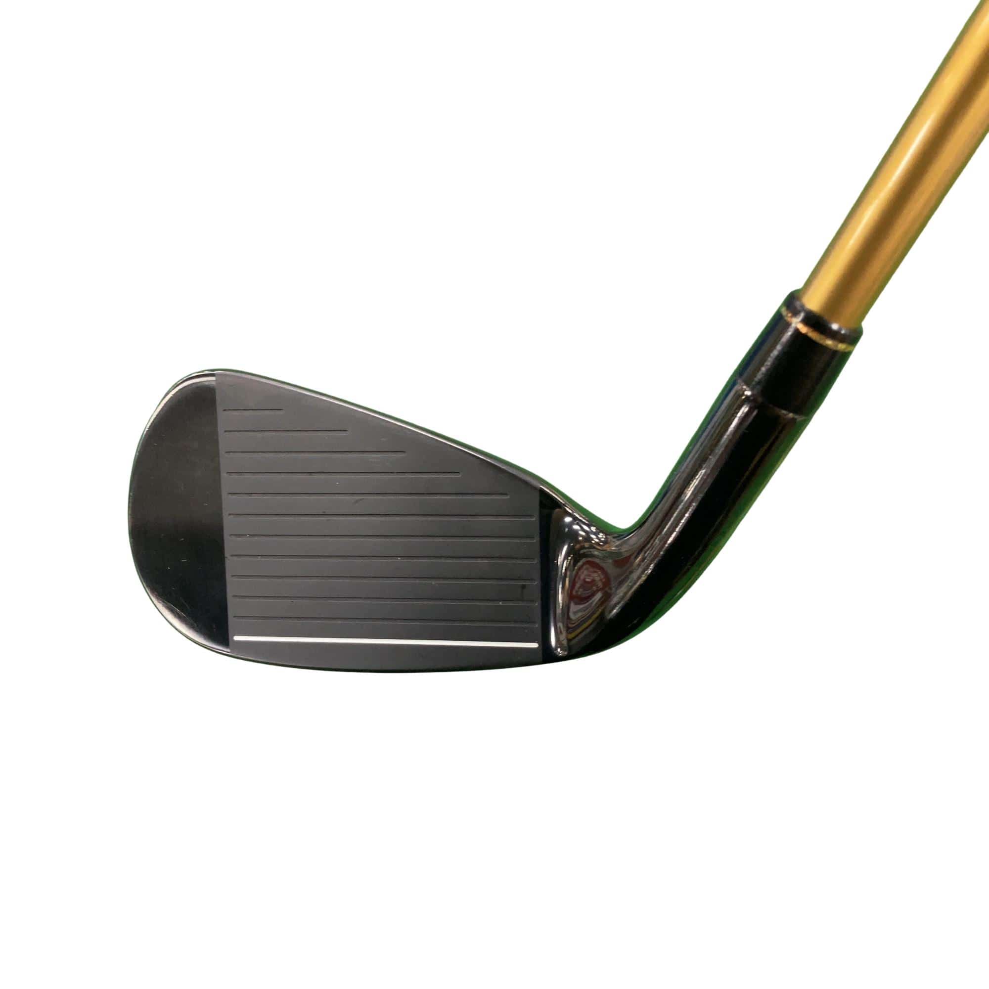 �d�y�n�m�d�@�q���������i�Q�O�Q�P�j�@�W�r�i���{���F�W�{�Z�b�g�j