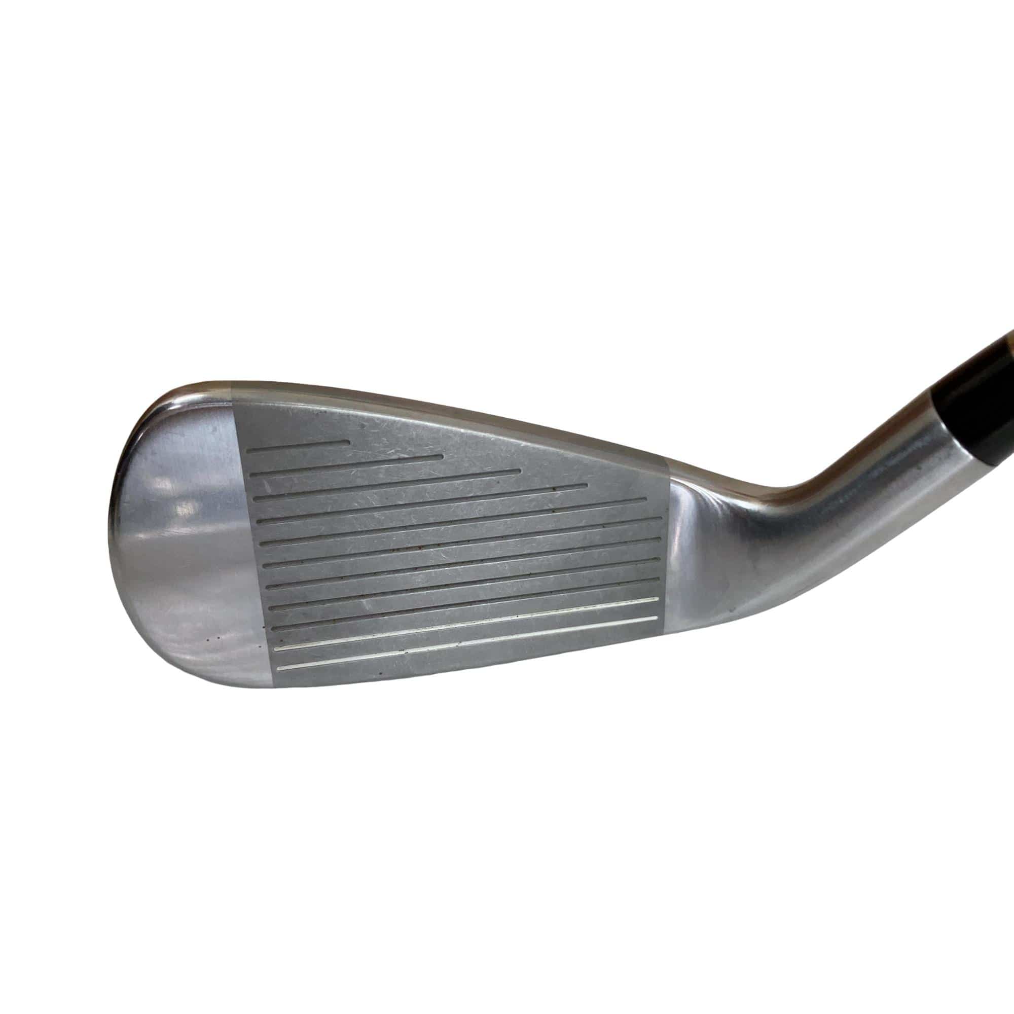 �������������@�t�c�{�Q�@�S�r�i���{���F�S�{�Z�b�g�j