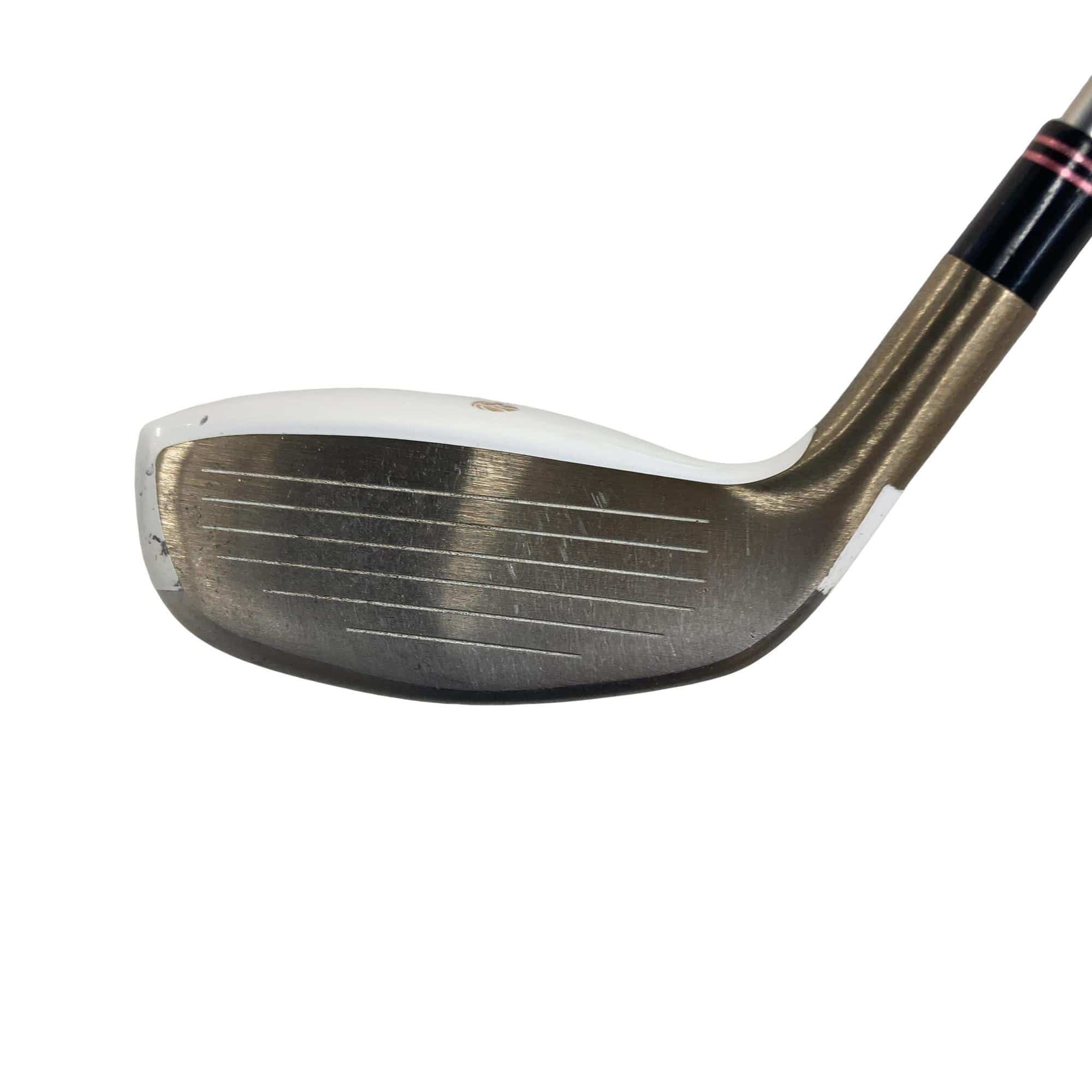 �f�k�n�h�q�d�@�e�@�t�S�@���f�B�[�X