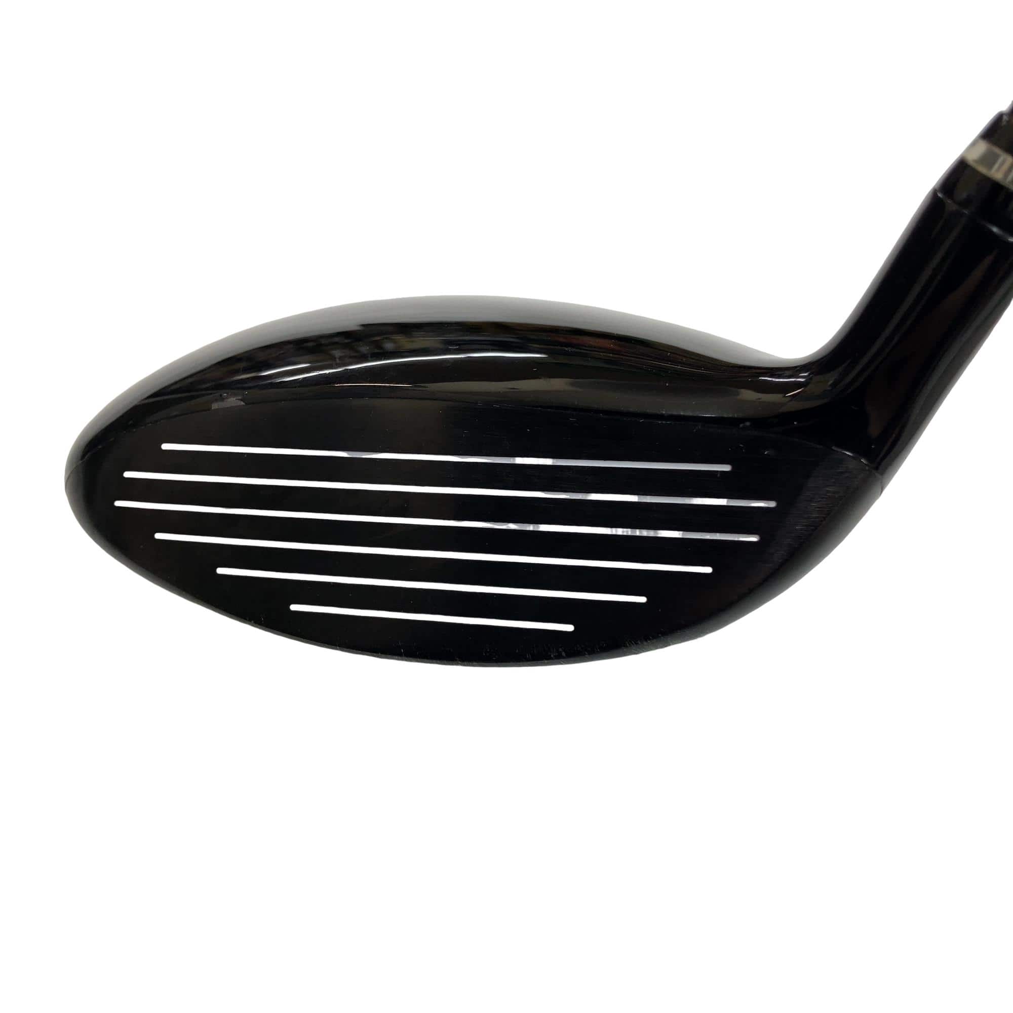 �������������@�w�@�b�������������i�Q�O�P�Q�j�@�T�v