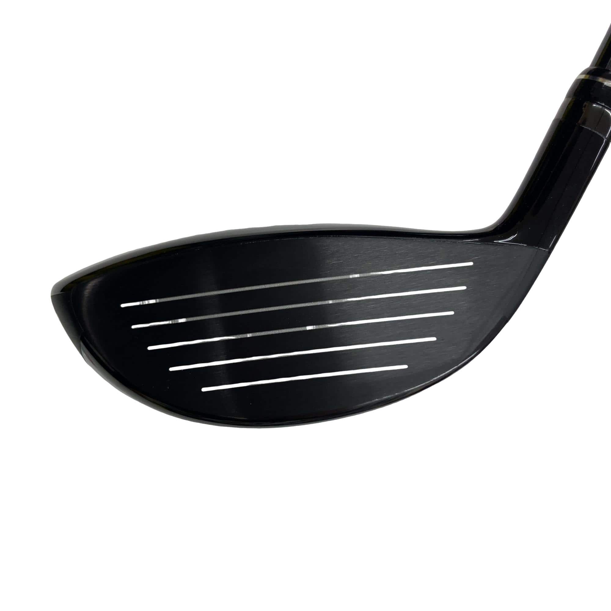 �q�r�i�Q�O�Q�S�j�@�o�q�n�s�n�s�x�o�d�@�s�v�n�@�N���[�o�[�@�T�v