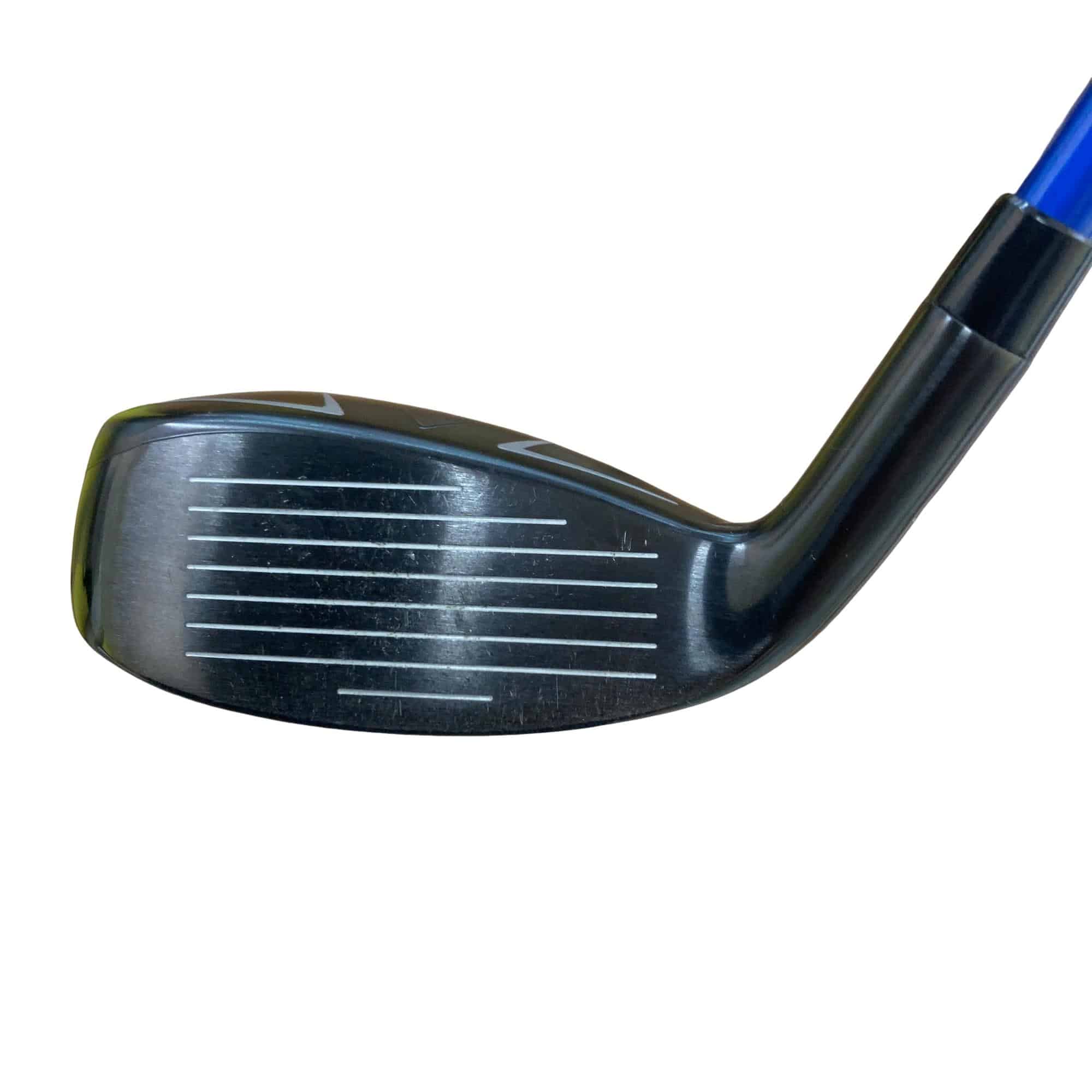 �w�q�@�t�T�@���f�B�[�X