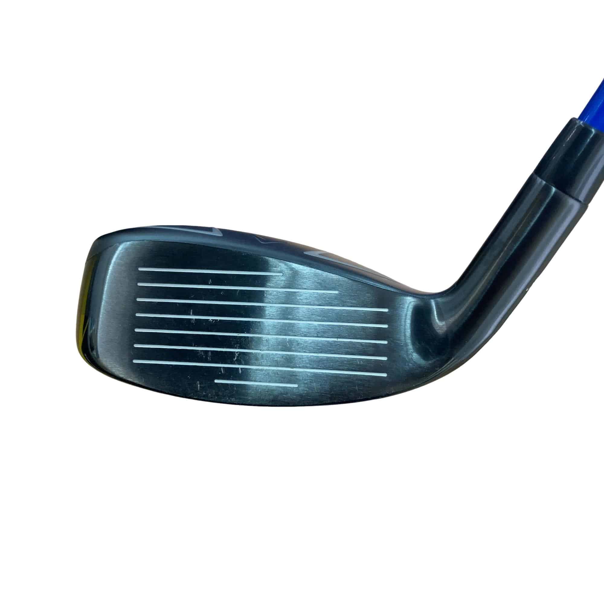 �w�q�@�t�U�@���f�B�[�X