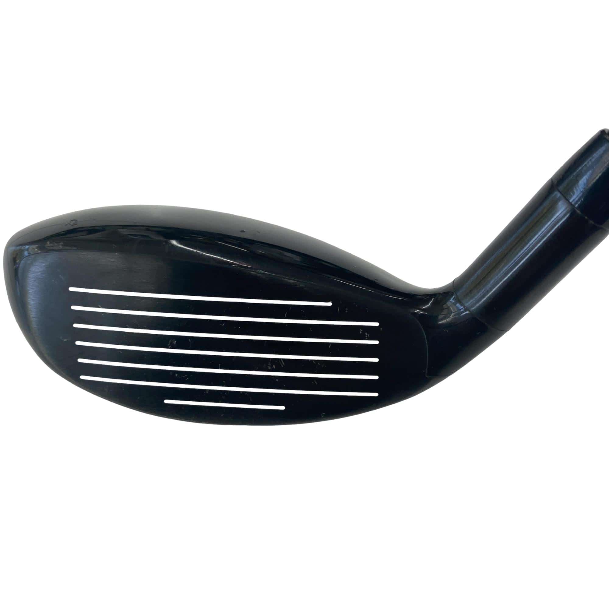 �w�Q�@�g�n�s�@�o�q�n�@�P�W°