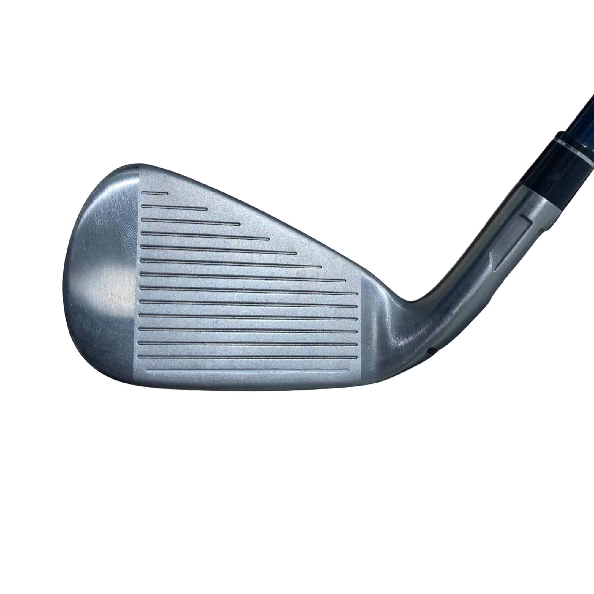 �r�h�l�Q�@�l�`�w�@�@�T�r�i���{���F�T�{�Z�b�g�j