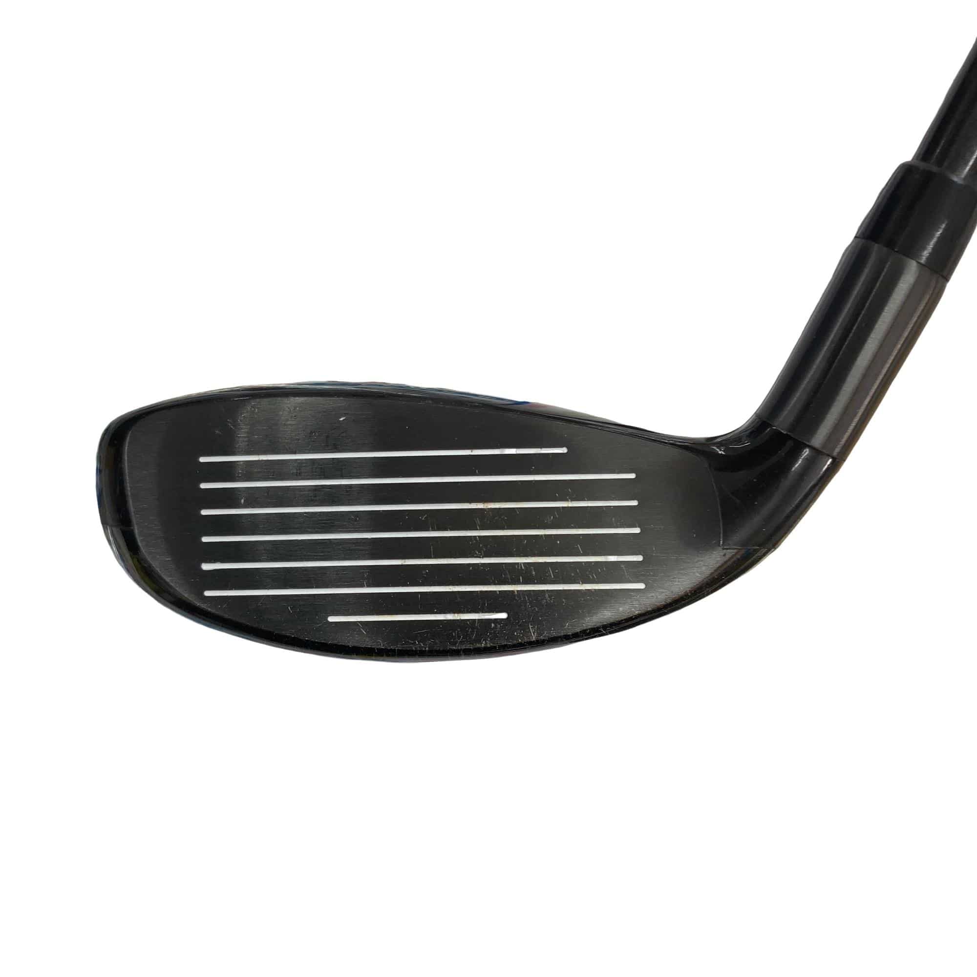 �w�Q�@�g�n�s�@�t�R