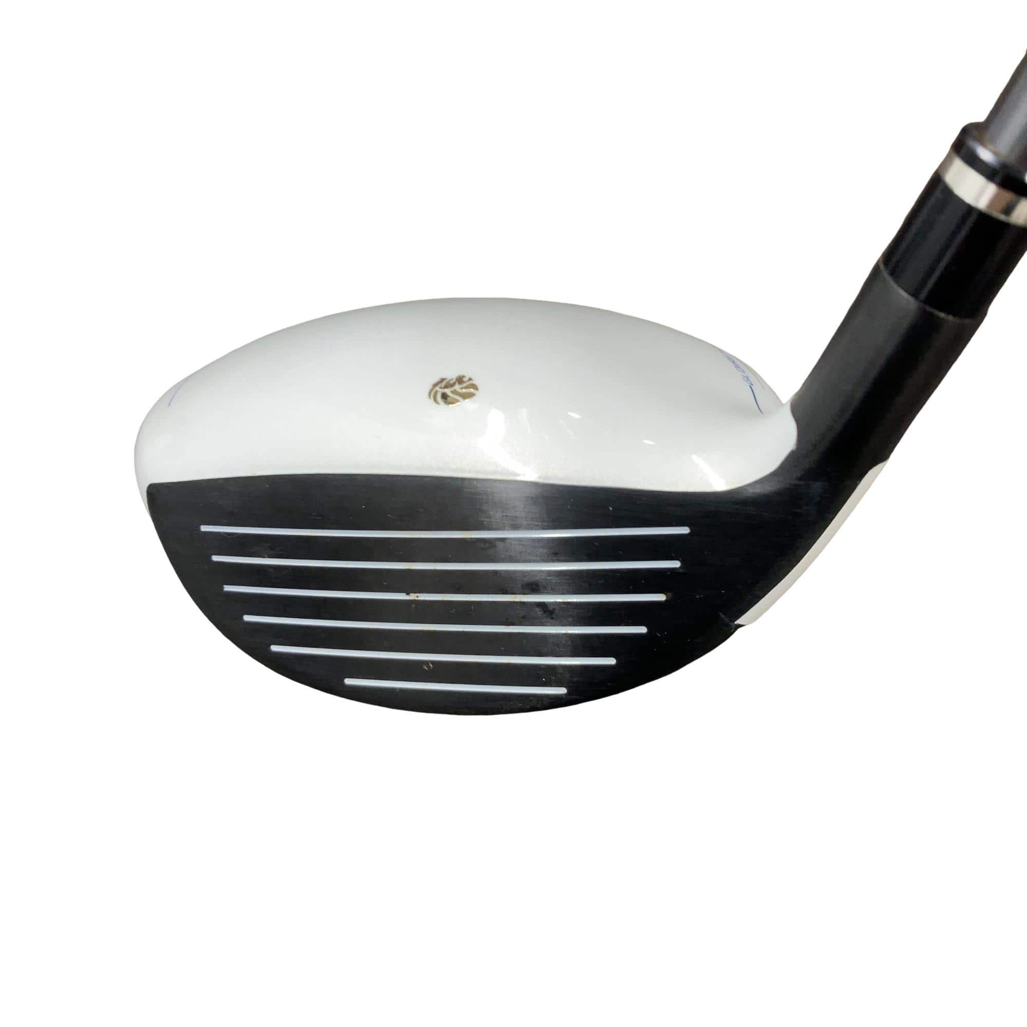 �f�k�n�h�q�d�@�e�i�Q�O�P�U�j�@�T�v