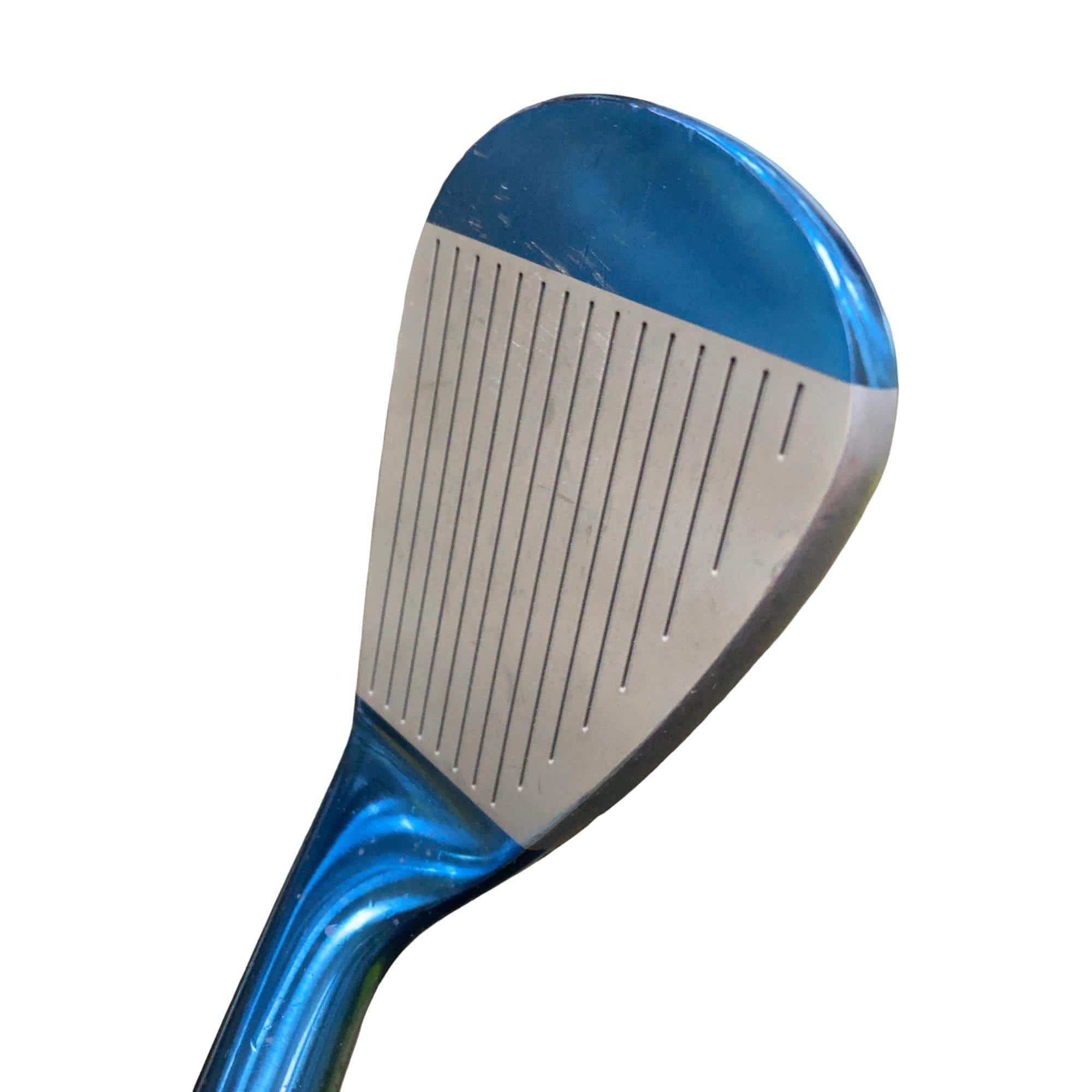 �l�����������@�o�����@�r�P�W�i�u���[�j�@�S�U°�^�O�U°