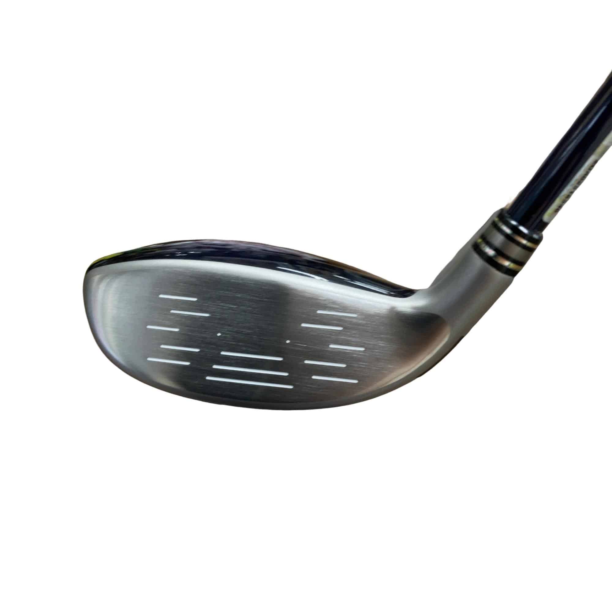 �w�w�h�n�i�Q�O�P�W�j�@�g�T