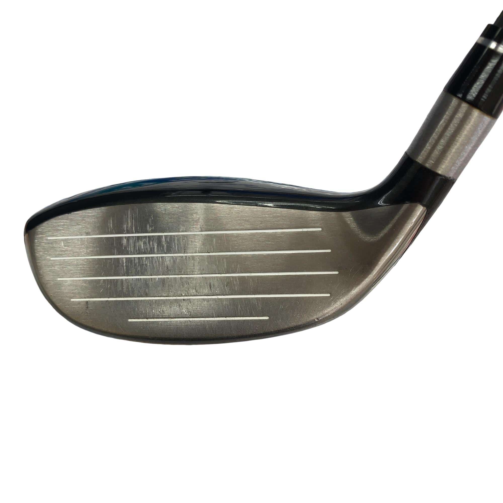 �s�n�t�q�@�v�n�q�k�c�@�s�v�V�S�V�@�Q�T°