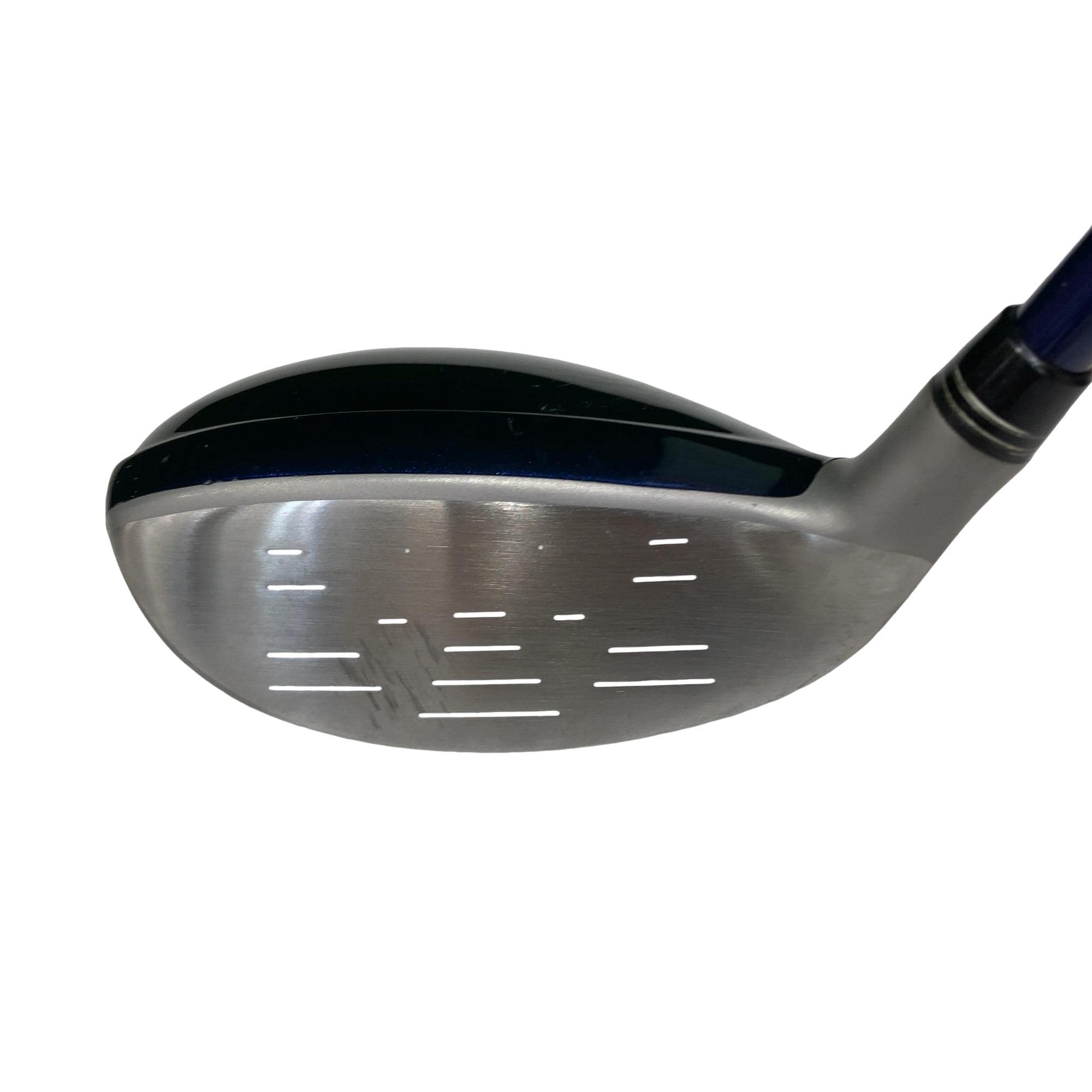 �w�w�h�n�i�Q�O�P�U�j�@�t�U�@���f�B�[�X