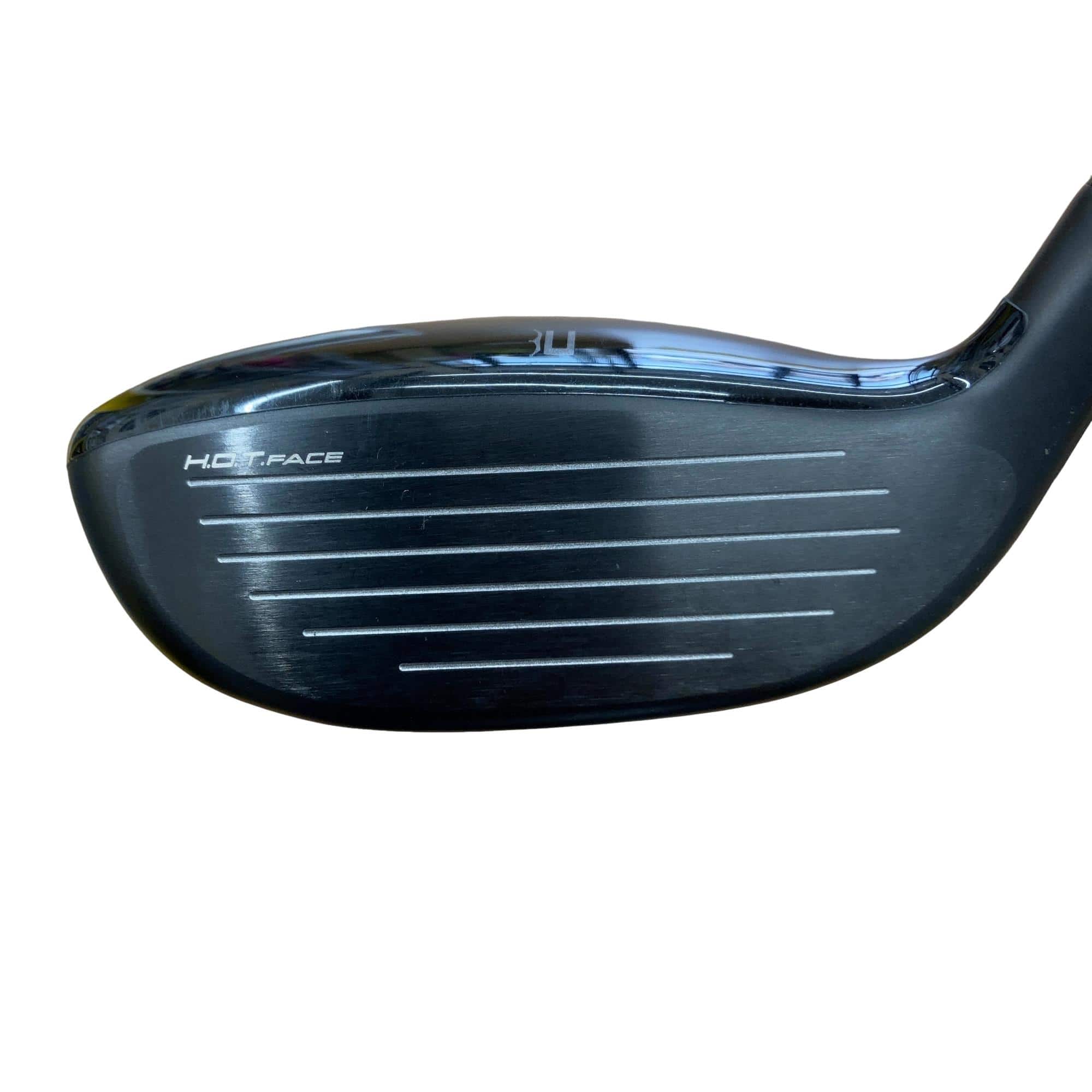 �����������@�`�d�q�n�i�d�s�@�t�S�@���f�B�[�X