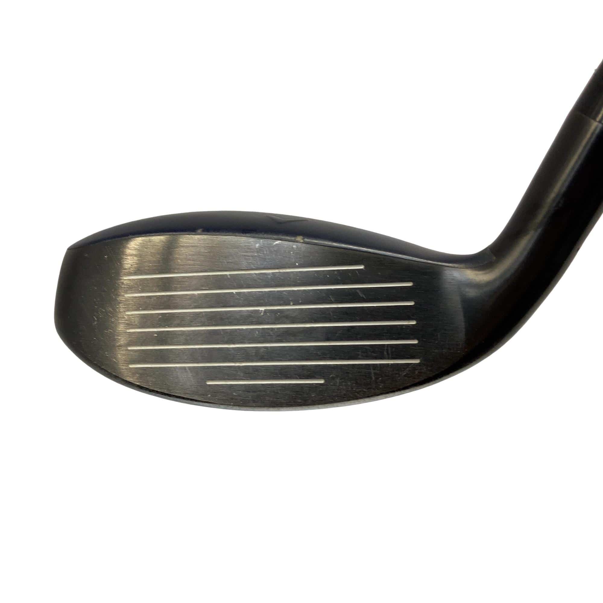 �w�q�@�t�T