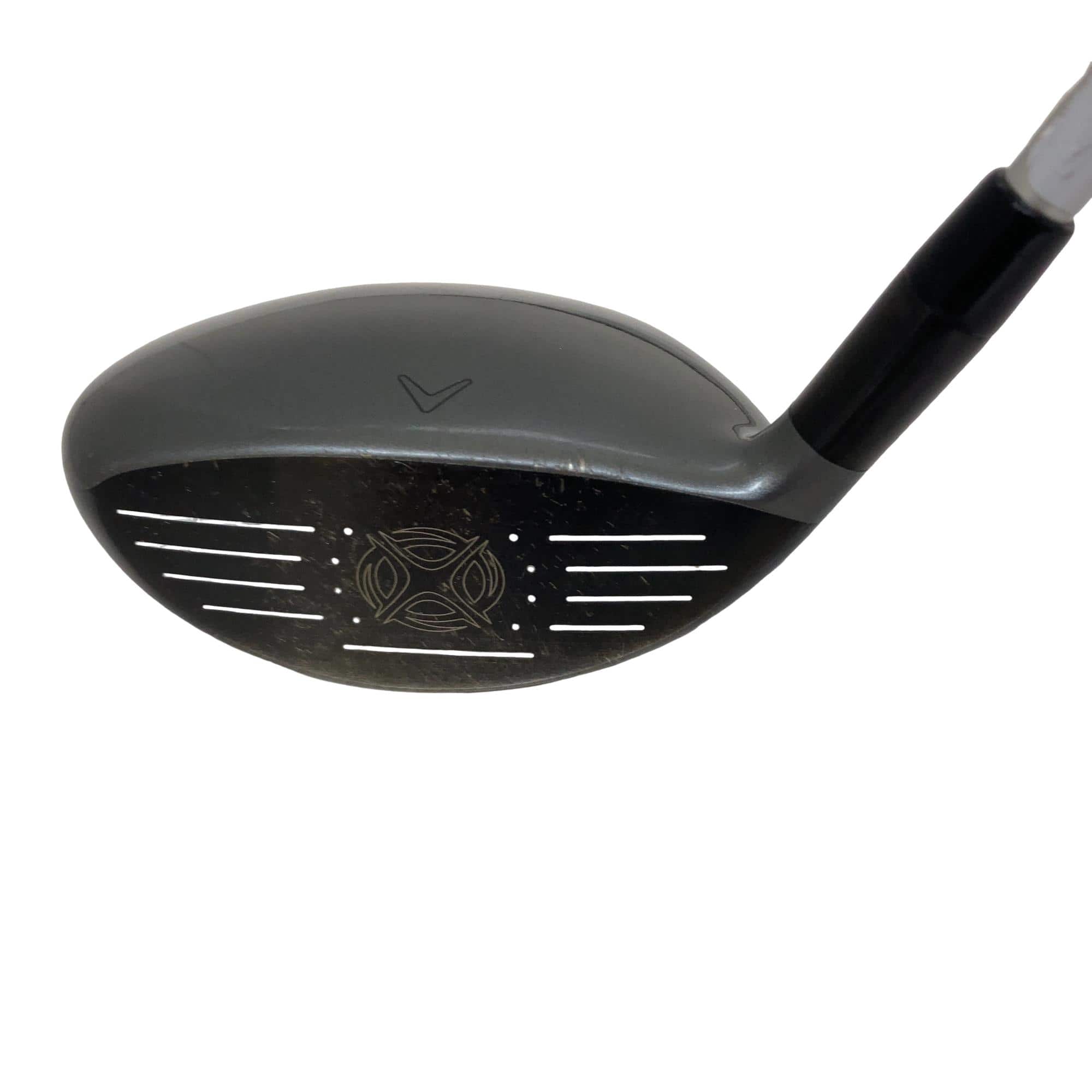 �w�@�g�n�s�@�@�R�v�@���f�B�[�X�@�t�r�`