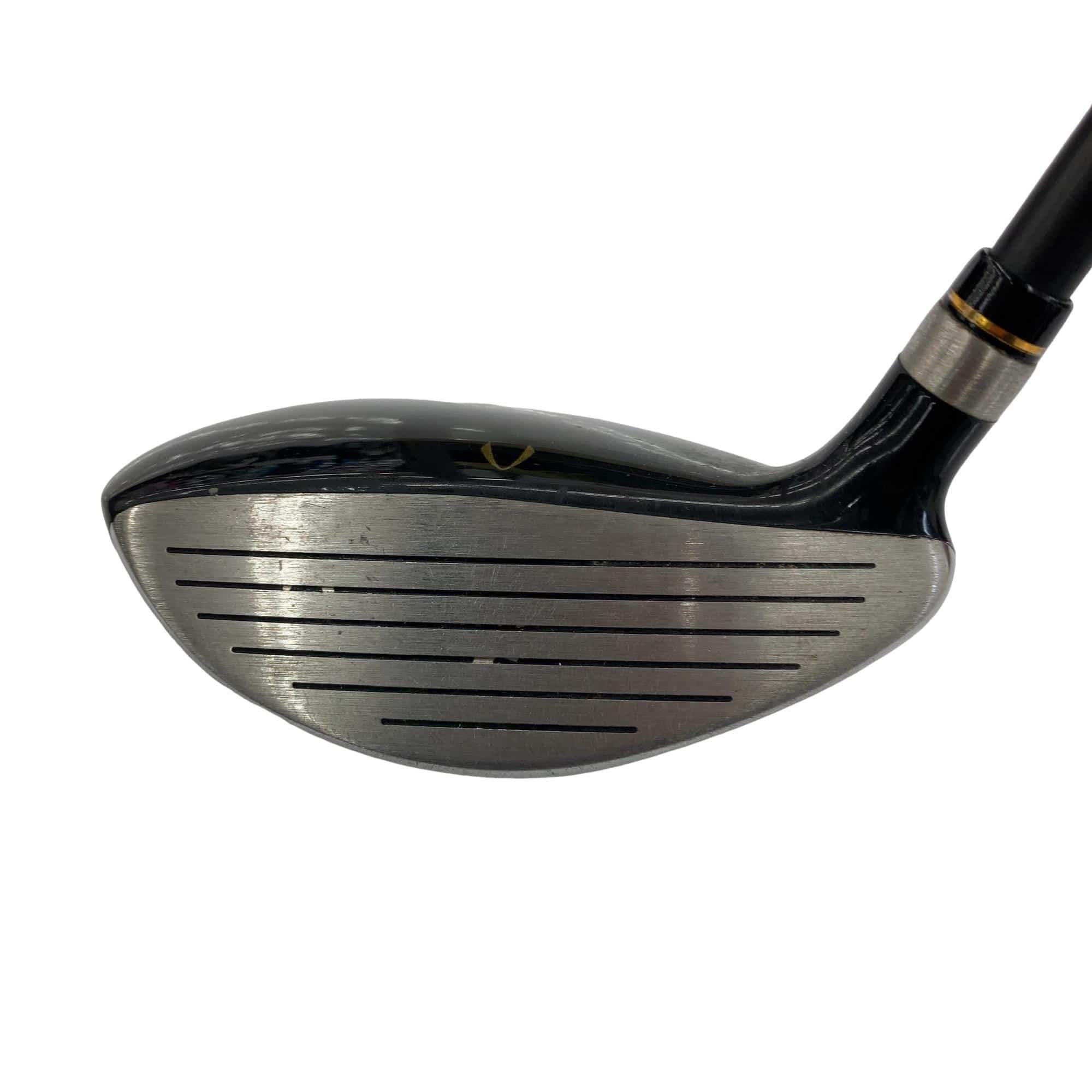 �j�Q�j�@���������O�X���[�e�B���e�B�@�t�T