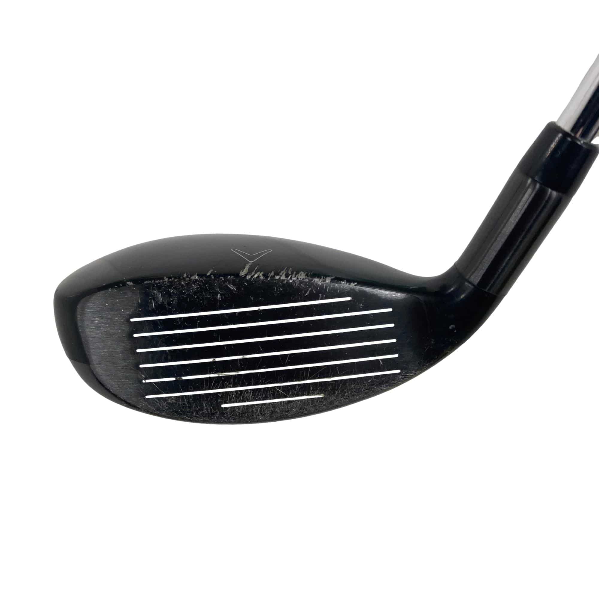 �w�Q�@�g�n�s�@�t�S