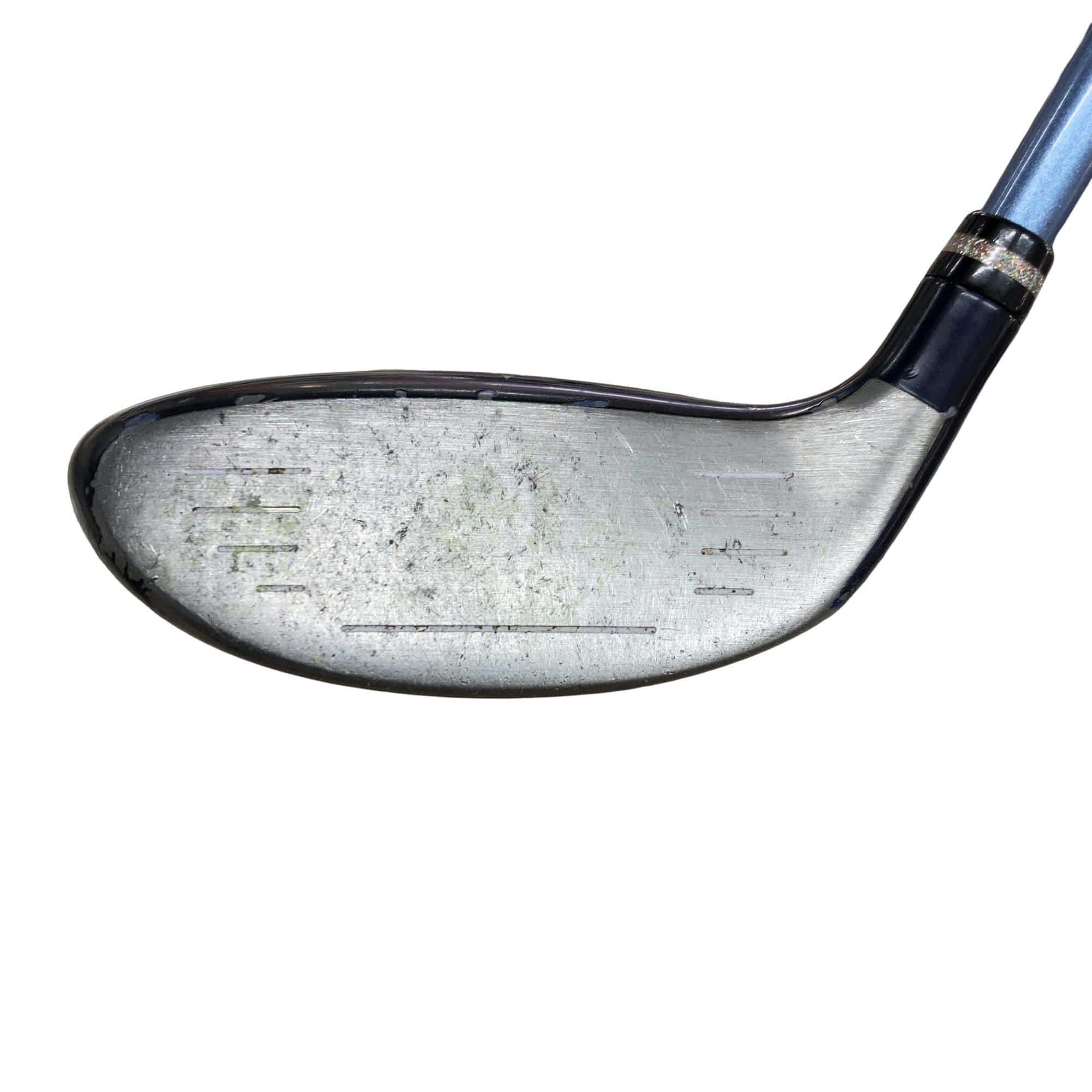 �������������@�t�c�{�Q�@�t�T�@���f�B�[�X