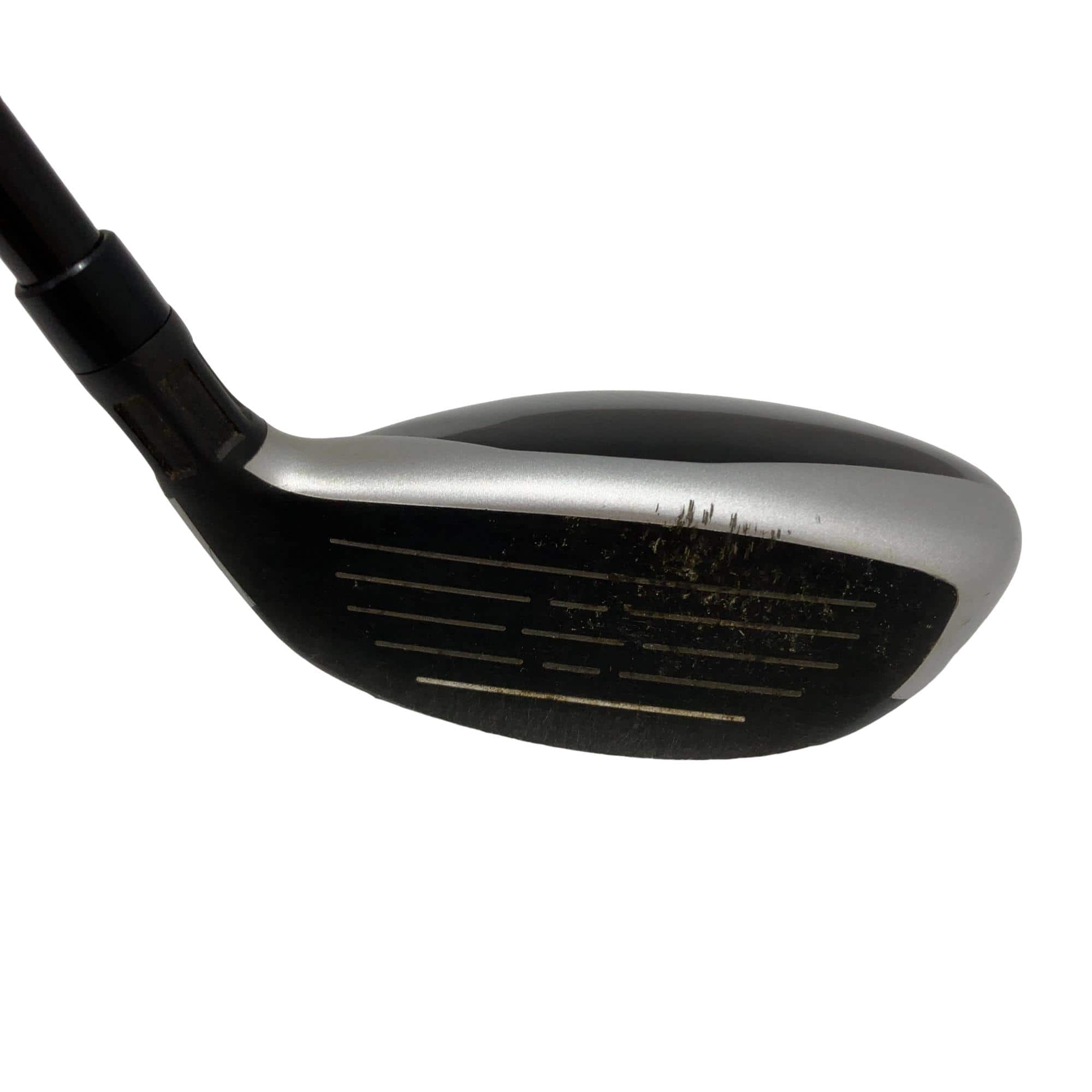 �l�S�@�t�R�@���t�e�B�@�t�r�`