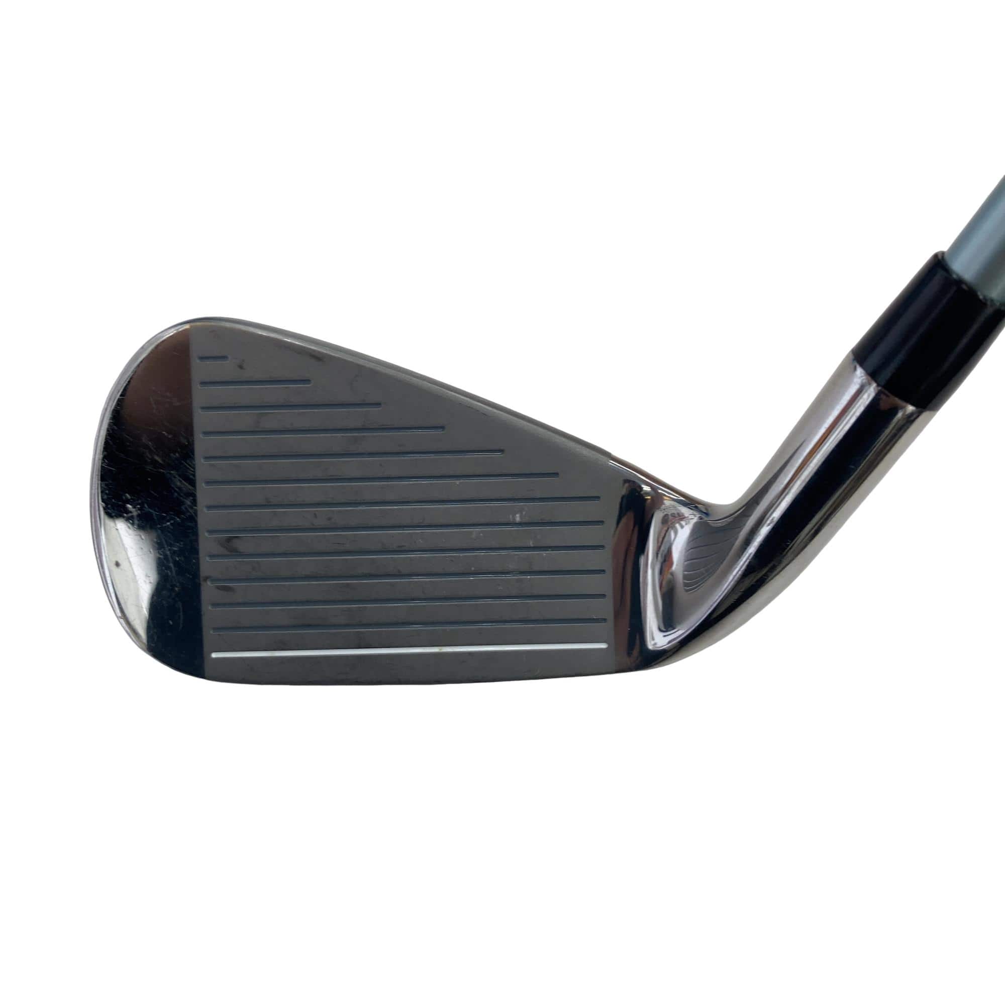 �a�q�|�w�@�U�r�@���f�B�[�X�i���{���F�T�{�Z�b�g�j