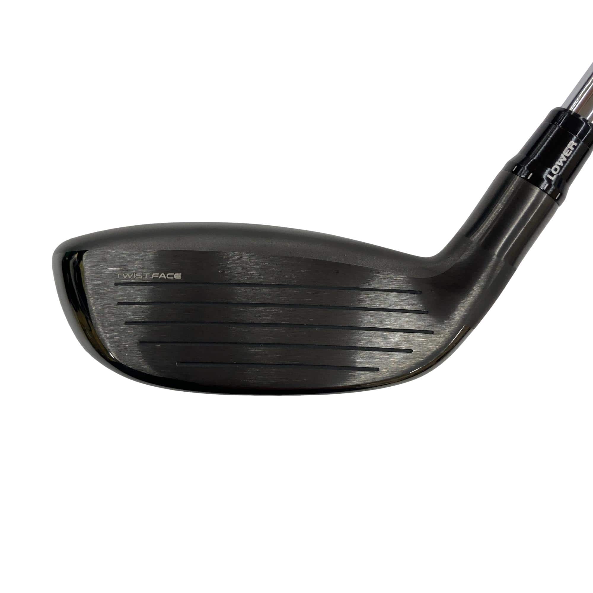 �p���R�T�@�t�S