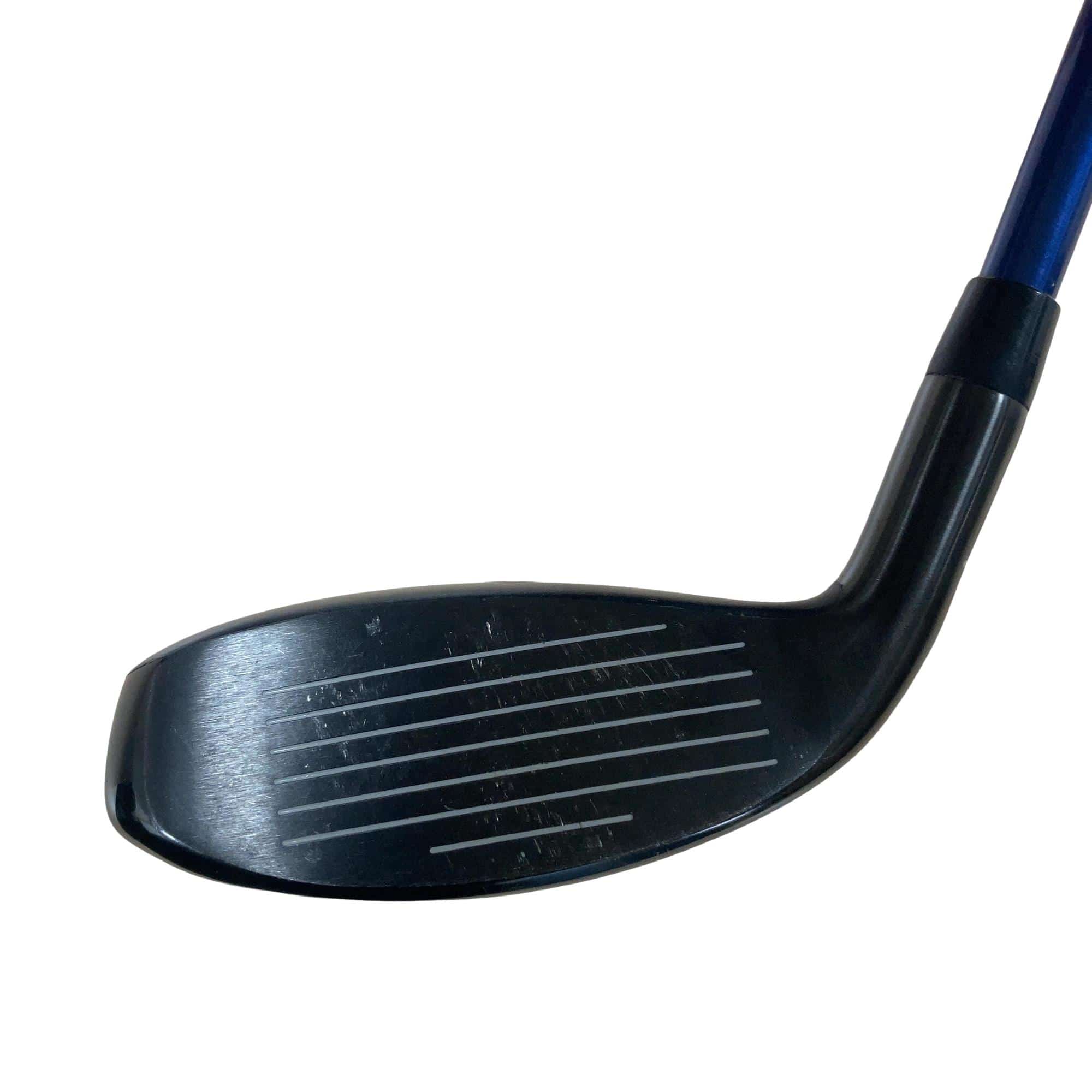 �w�q�@�t�T