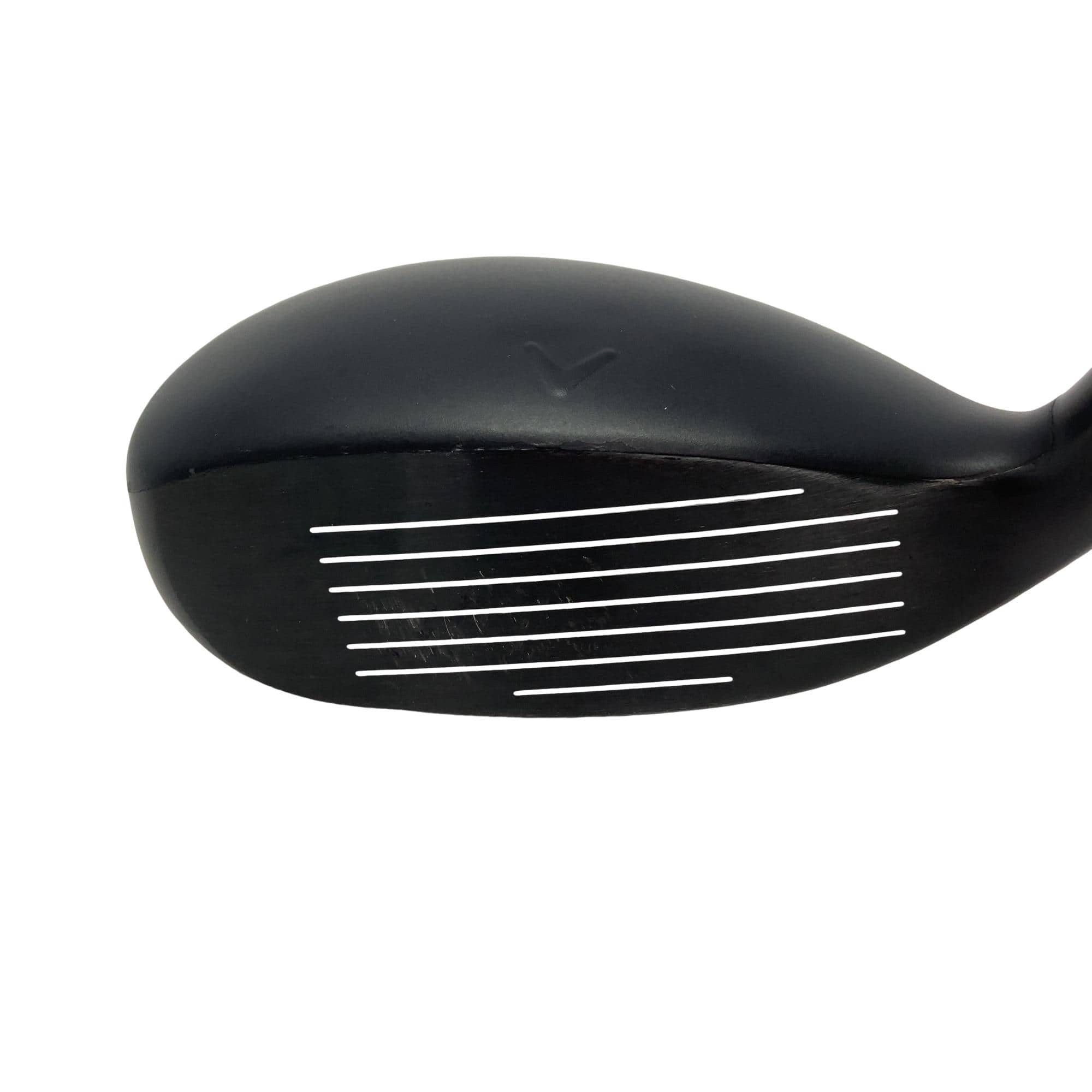 �w�q�@�P�U�@�n�r�@�t�S