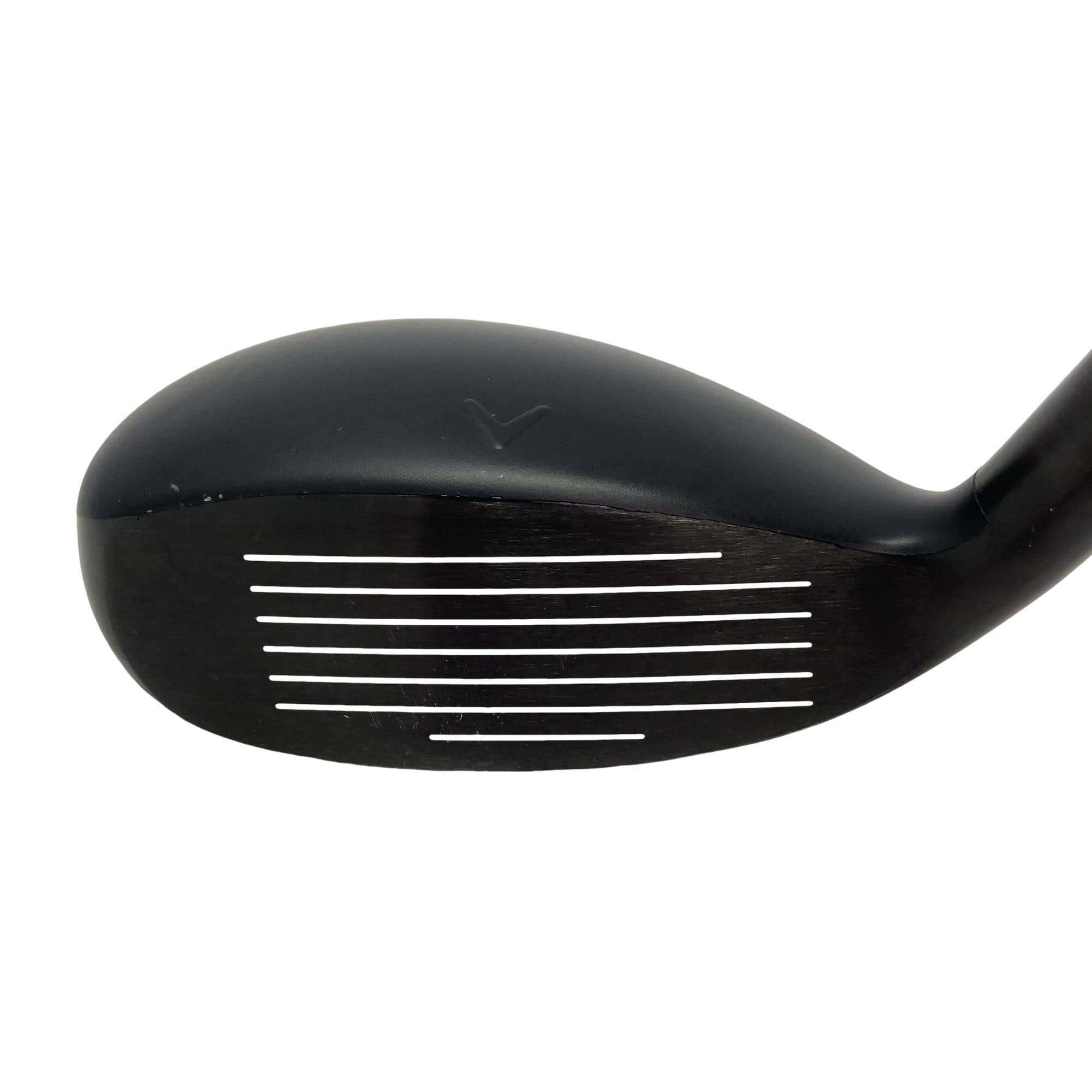 �w�q�@�P�U�@�n�r�@�t�T