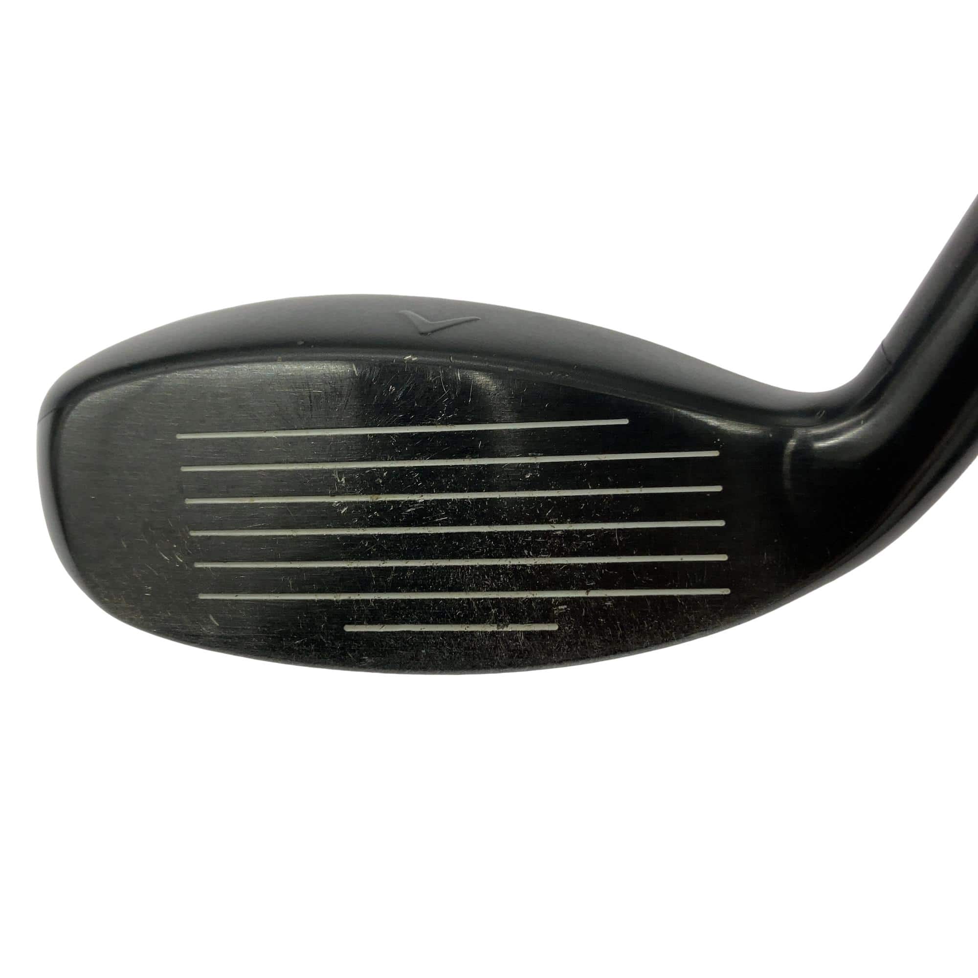 �w�q�@�P�U�@�n�r�@�t�S