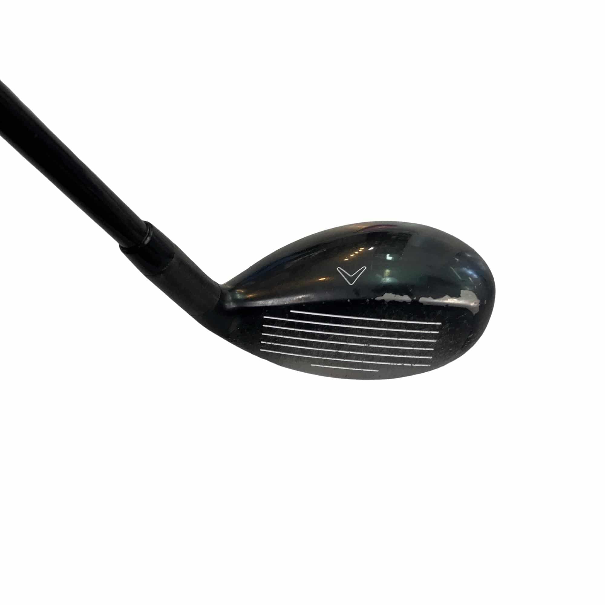 �w�Q�@�g�n�s�@�t�T�@���t�e�B